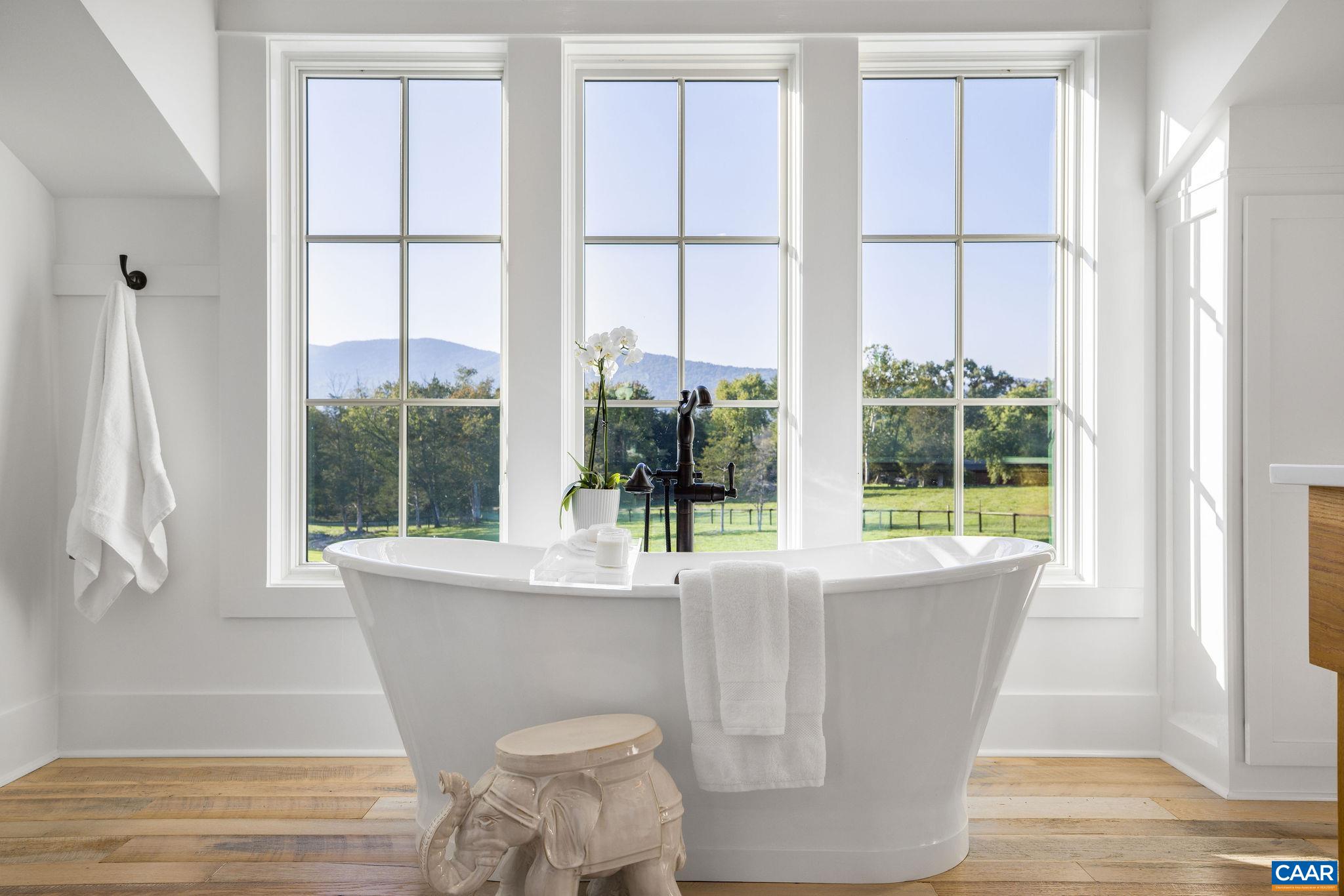 320 BARN HOUSE LN, CHARLOTTESVILLE, Virginia 22901, 5 Bedrooms Bedrooms, ,5 BathroomsBathrooms,Residential,Barn House,320 BARN HOUSE LN,676675 MLS # 676675