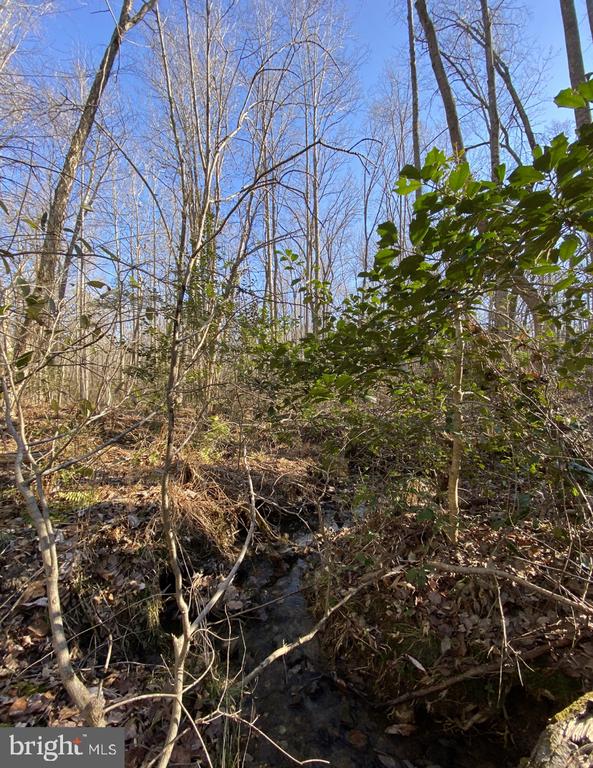 FIREHOUSE DR, LOUISA, Virginia 23093, ,Land,FIREHOUSE DR,VALA2009820 MLS # VALA2009820