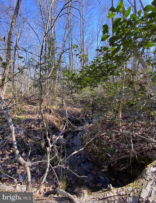 FIREHOUSE DR, LOUISA, Virginia 23093, ,Land,FIREHOUSE DR,VALA2009820 MLS # VALA2009820