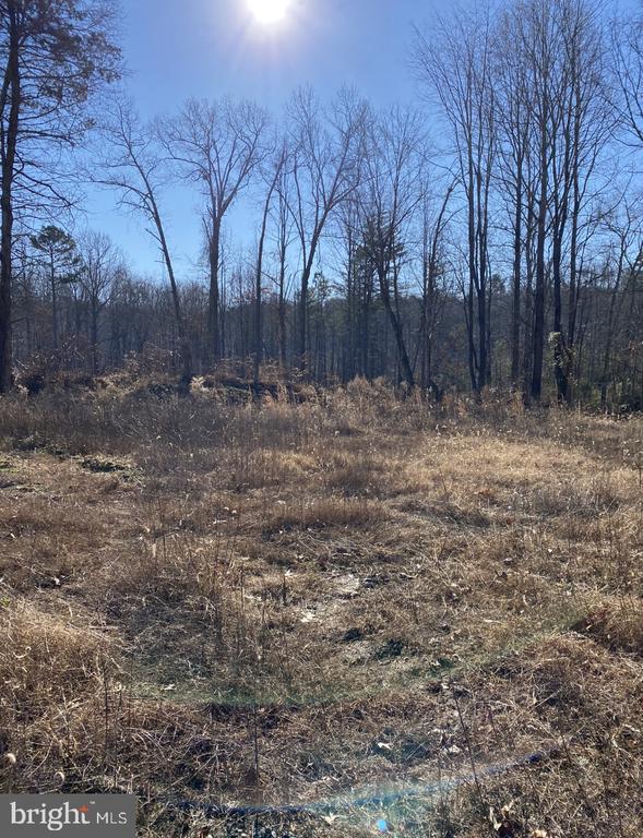 FIREHOUSE DR, LOUISA, Virginia 23093, ,Land,FIREHOUSE DR,VALA2009820 MLS # VALA2009820