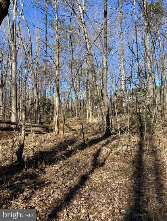 FIREHOUSE DR, LOUISA, Virginia 23093, ,Land,FIREHOUSE DR,VALA2009820 MLS # VALA2009820