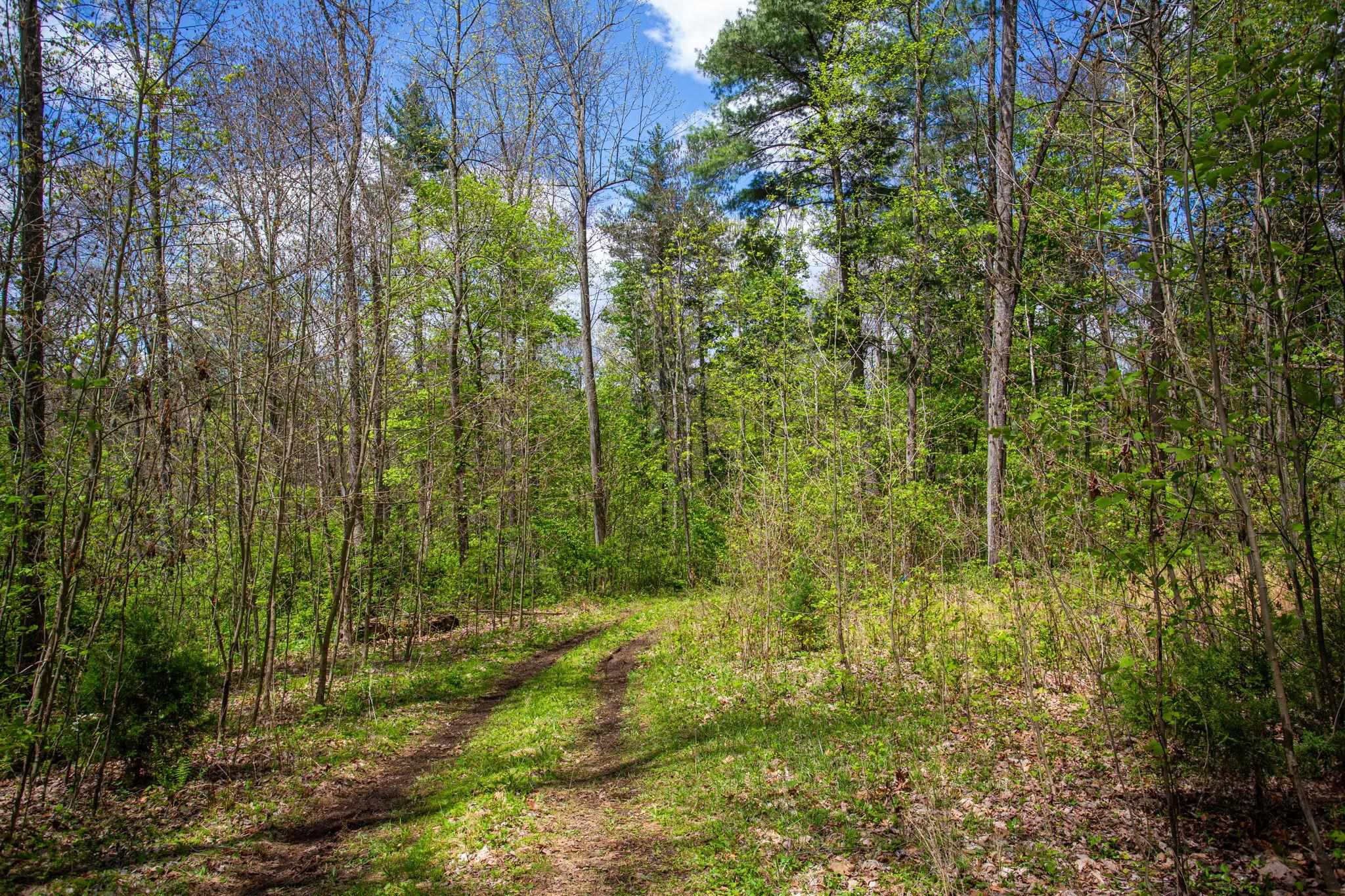 0 CHURCH MOUNTAIN LN, FULKS RUN, Virginia 22830, ,Land,0 CHURCH MOUNTAIN LN,676684 MLS # 676684