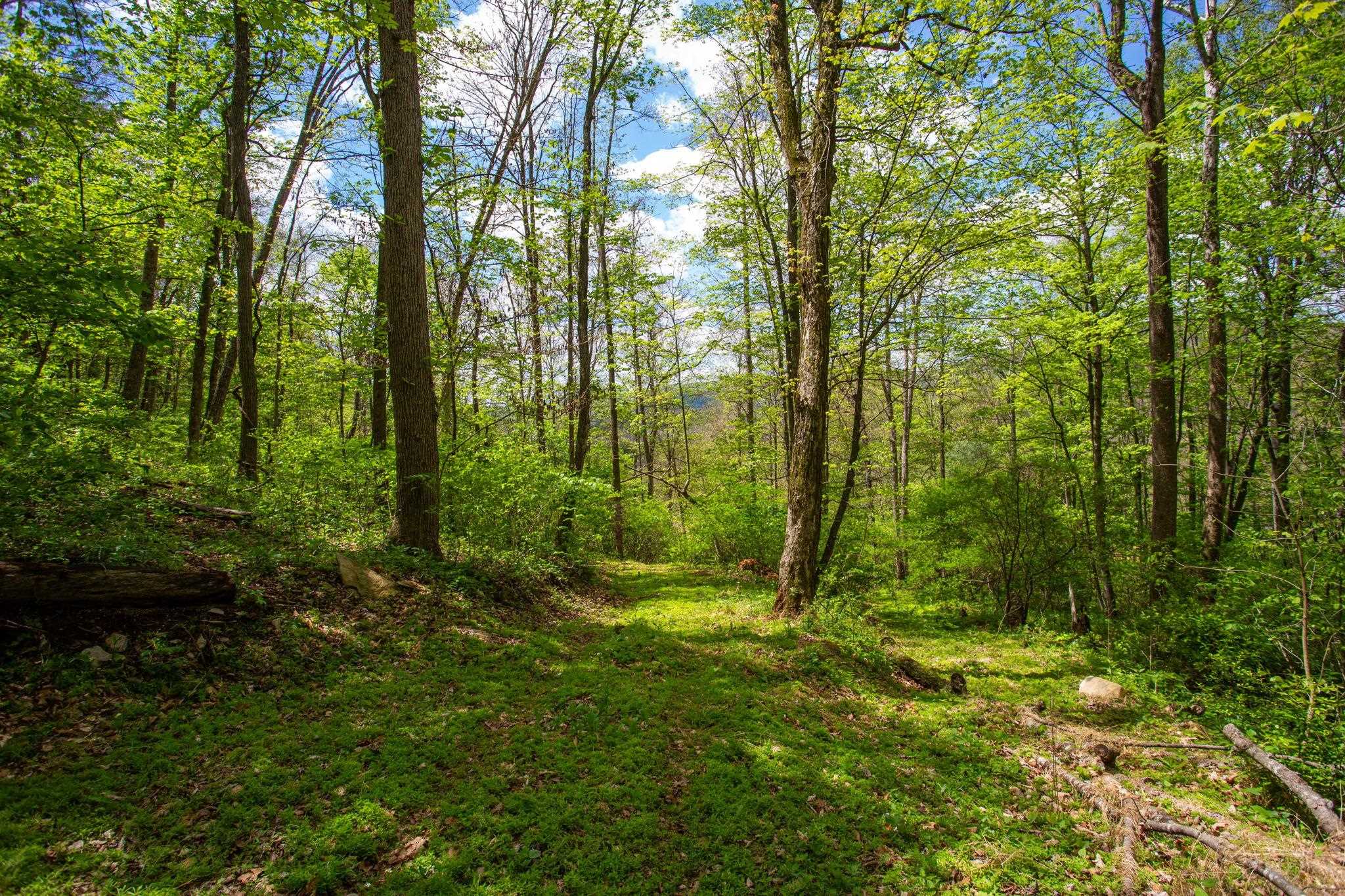 0 CHURCH MOUNTAIN LN, FULKS RUN, Virginia 22830, ,Land,0 CHURCH MOUNTAIN LN,676684 MLS # 676684