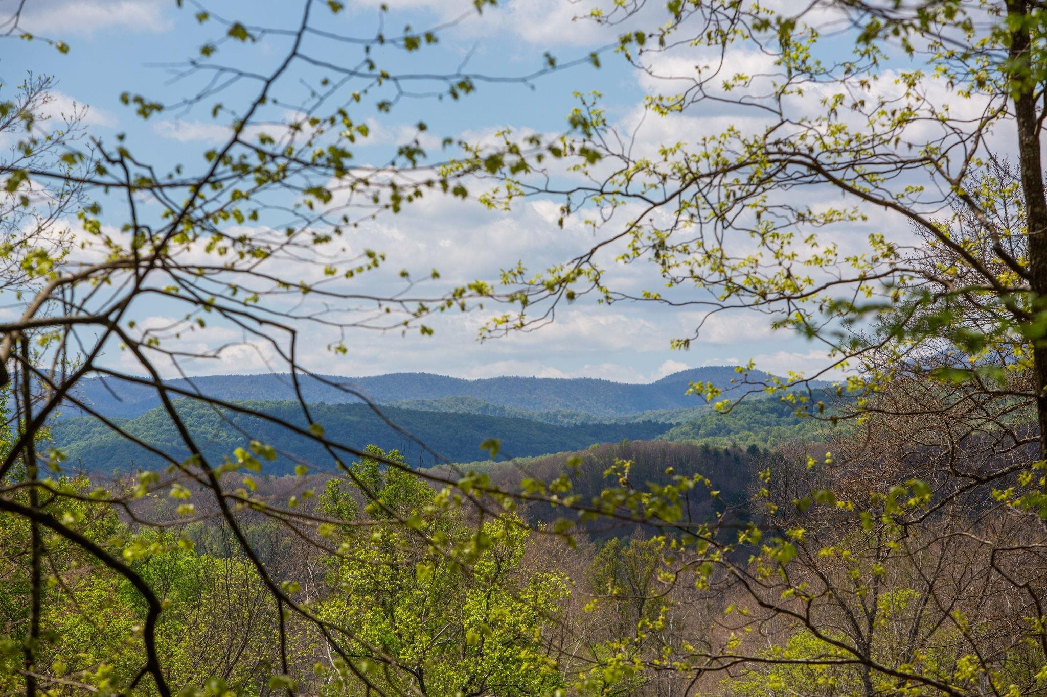 Close to/on the property line. Can have this view with removal of some trees.