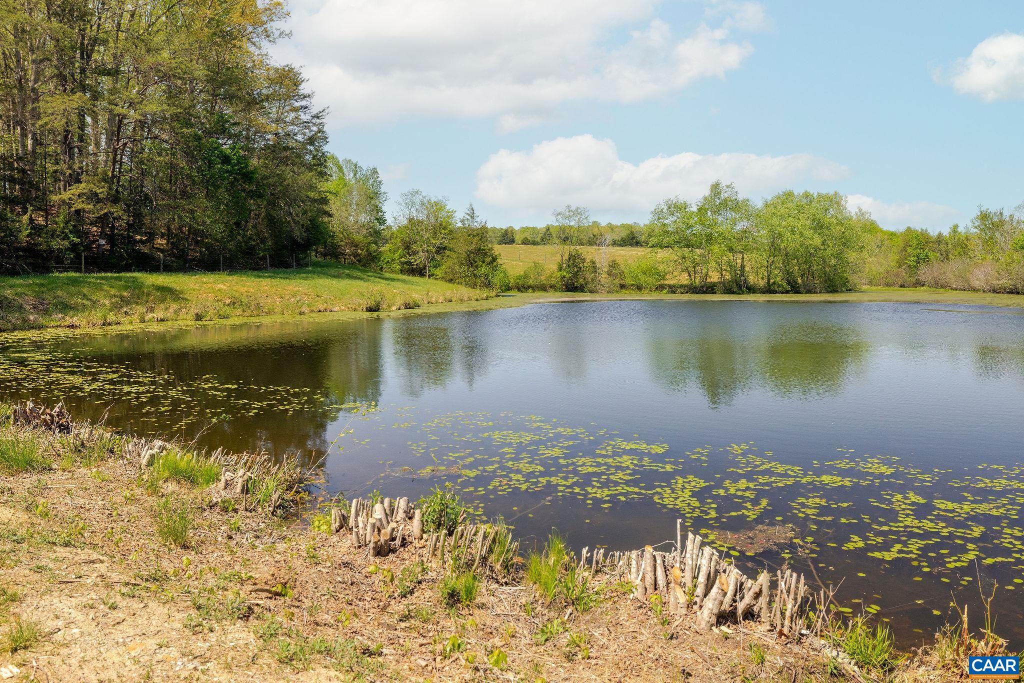 0 CEDAR PLAINS RD, SANDY HOOK, Virginia 23153, ,Farm,Cedar Plains Farm,0 CEDAR PLAINS RD,676685 MLS # 676685