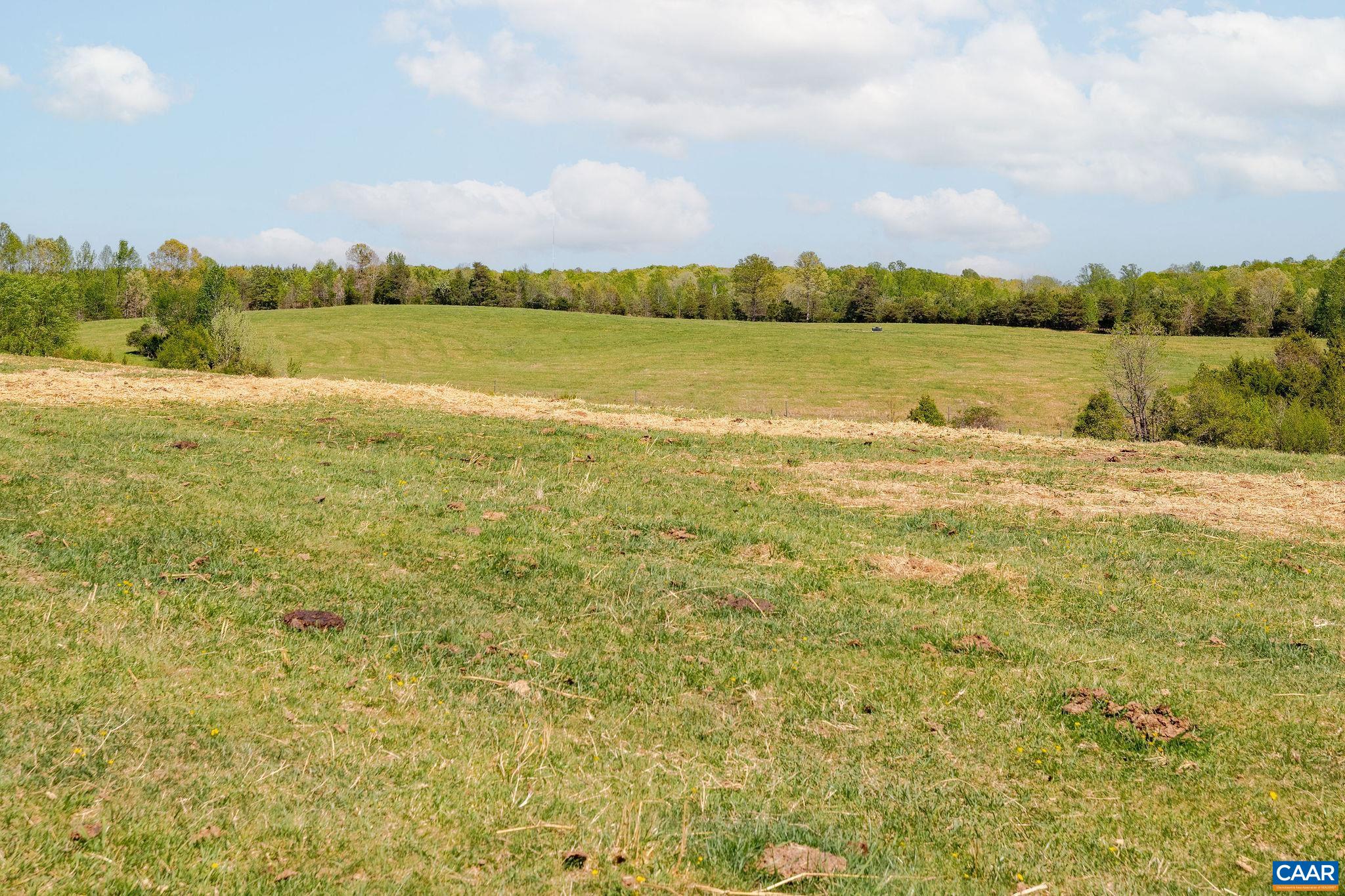 0 CEDAR PLAINS RD, SANDY HOOK, Virginia 23153, ,Farm,Cedar Plains Farm,0 CEDAR PLAINS RD,676685 MLS # 676685