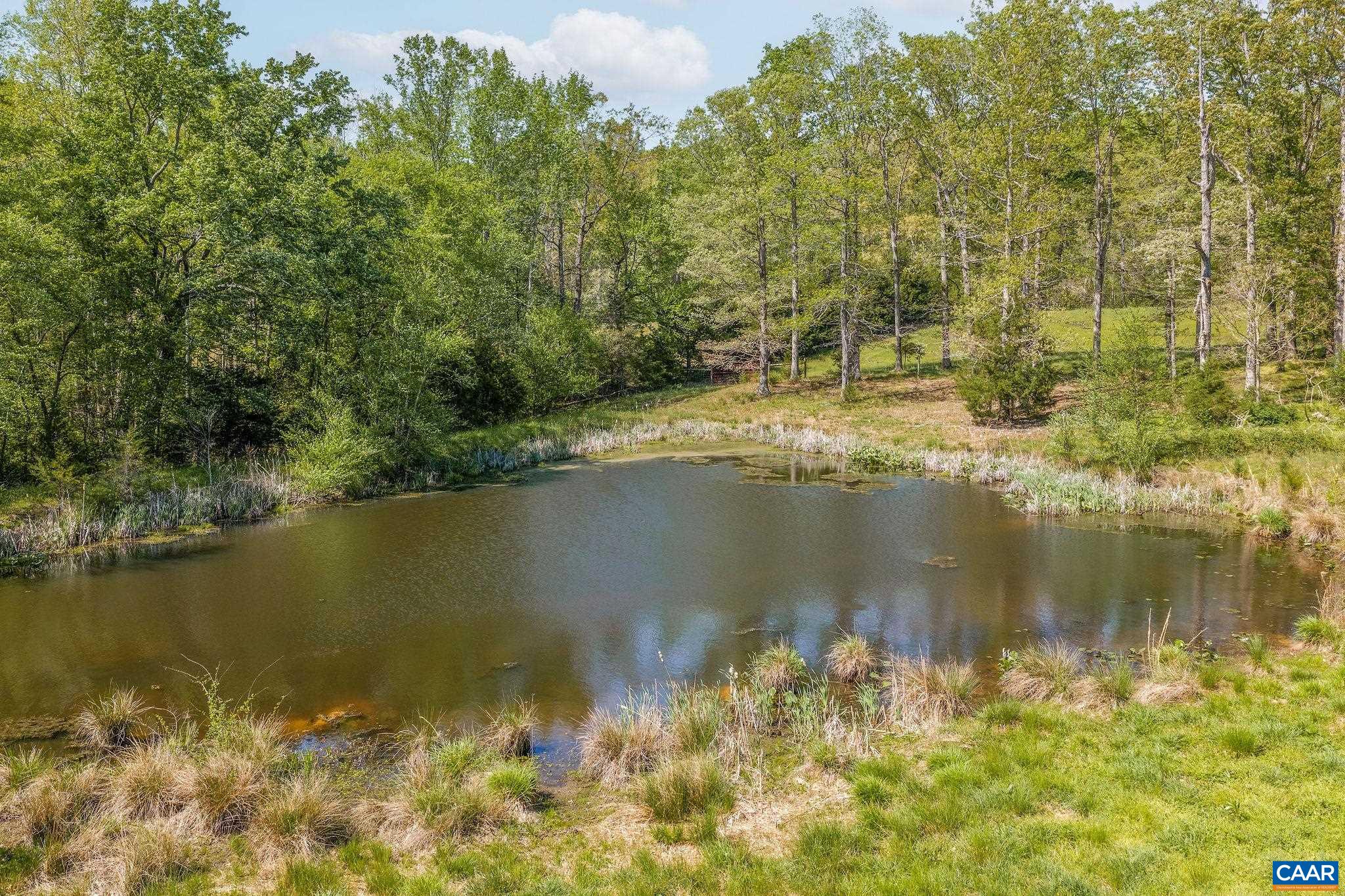 0 CEDAR PLAINS RD, SANDY HOOK, Virginia 23153, ,Farm,Cedar Plains Farm,0 CEDAR PLAINS RD,676685 MLS # 676685