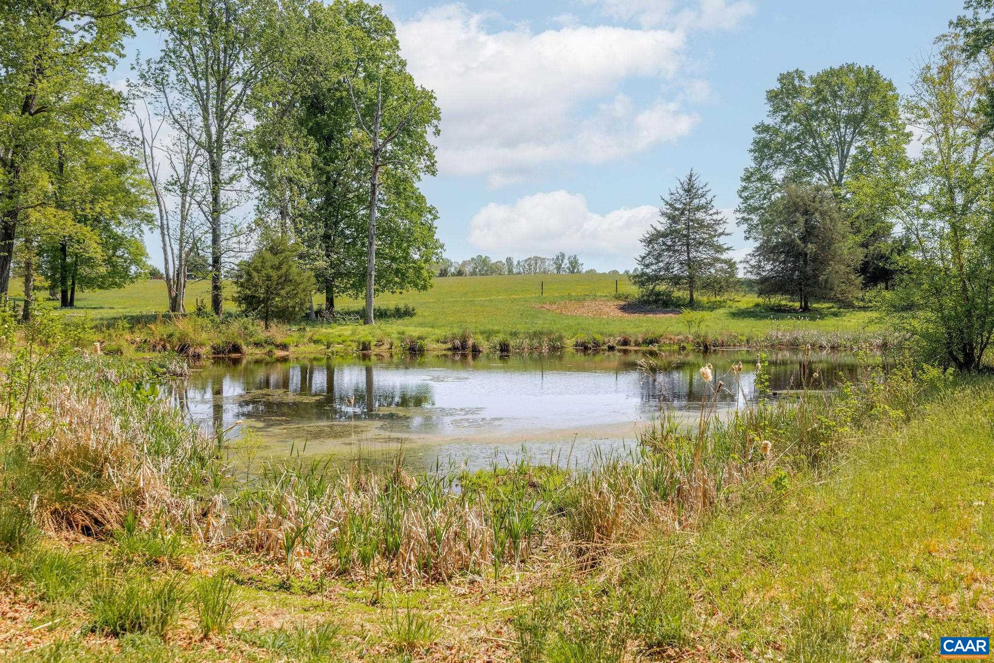 0 CEDAR PLAINS RD, SANDY HOOK, Virginia 23153, ,Farm,Cedar Plains Farm,0 CEDAR PLAINS RD,676685 MLS # 676685