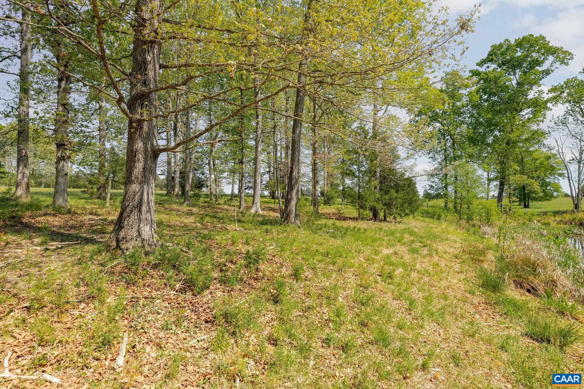 0 CEDAR PLAINS RD, SANDY HOOK, Virginia 23153, ,Farm,Cedar Plains Farm,0 CEDAR PLAINS RD,676685 MLS # 676685
