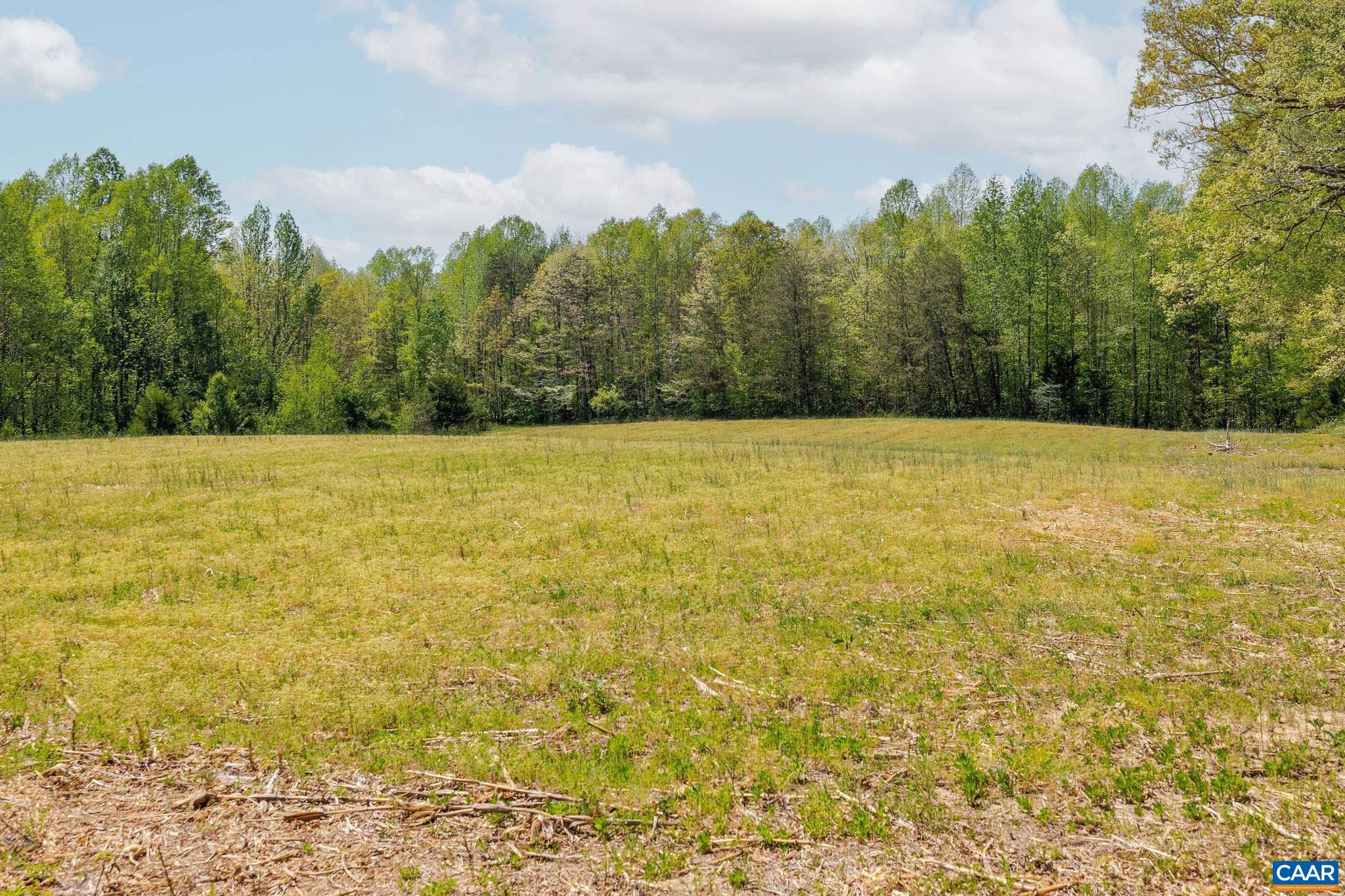 0 CEDAR PLAINS RD, SANDY HOOK, Virginia 23153, ,Farm,Cedar Plains Farm,0 CEDAR PLAINS RD,676685 MLS # 676685