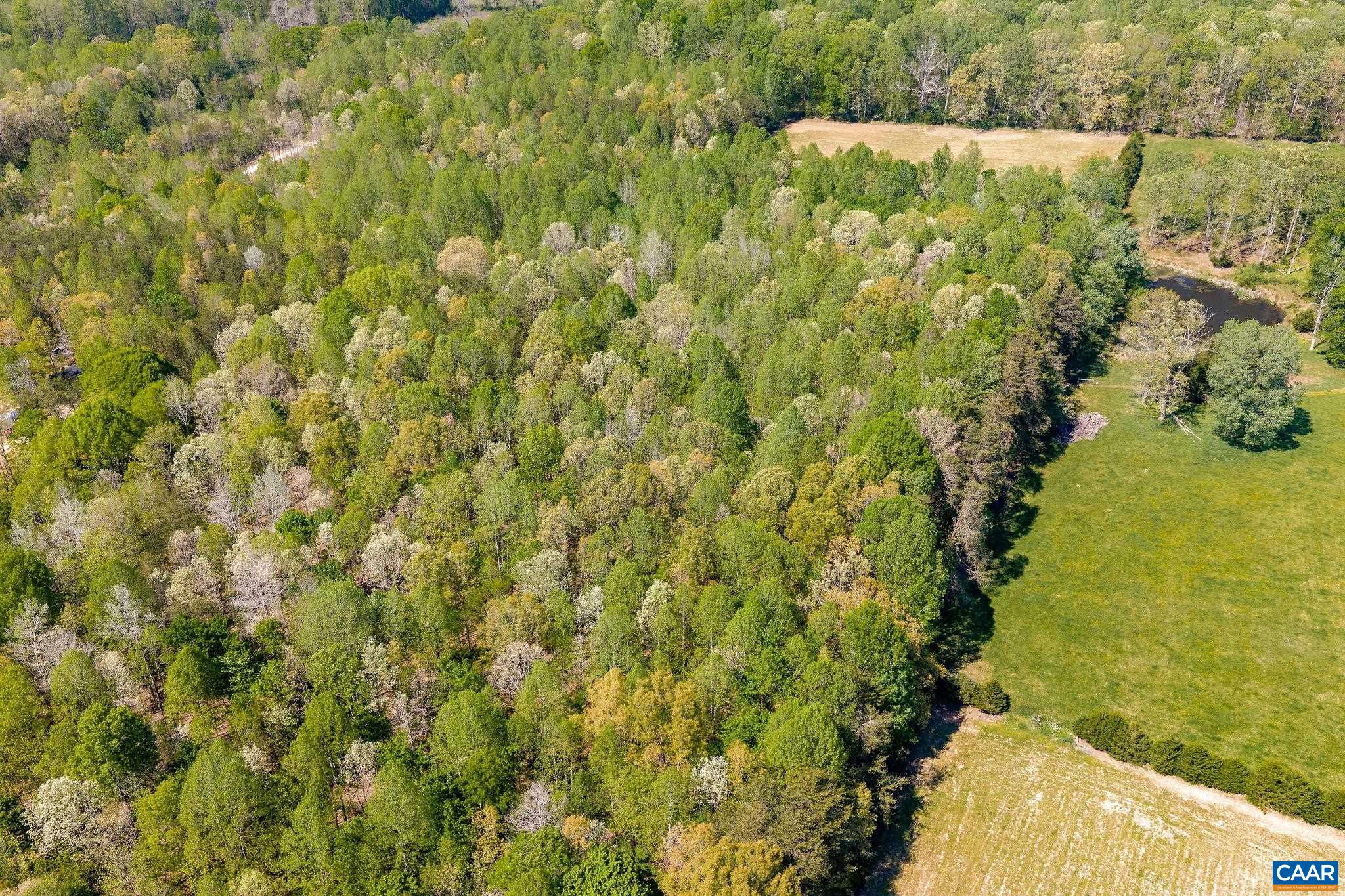 0 CEDAR PLAINS RD, SANDY HOOK, Virginia 23153, ,Farm,Cedar Plains Farm,0 CEDAR PLAINS RD,676685 MLS # 676685