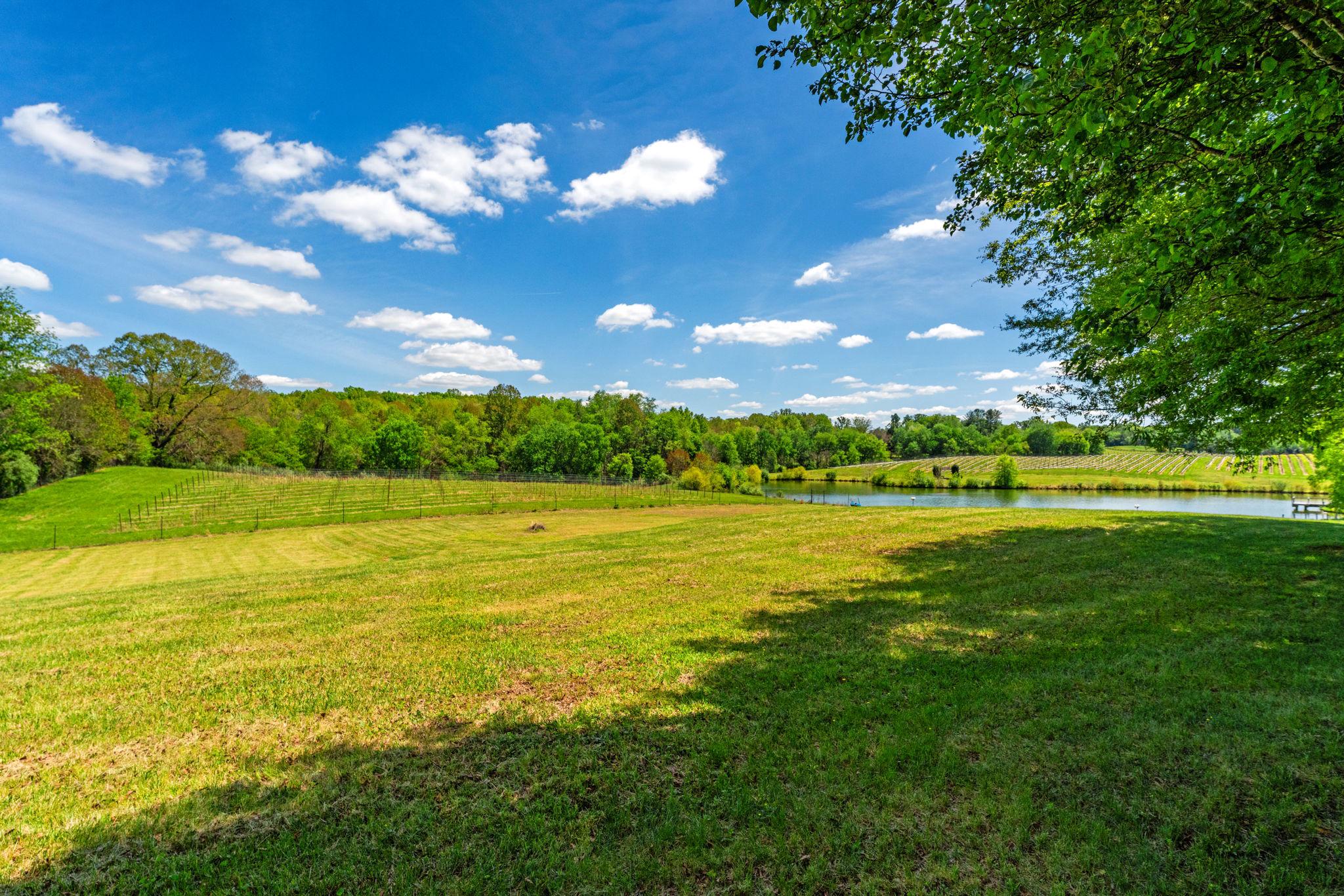 80 NARMADA LN, AMISSVILLE, Virginia 20106, 4 Bedrooms Bedrooms, ,4 BathroomsBathrooms,Residential,80 NARMADA LN,VARP2002634 MLS # VARP2002634