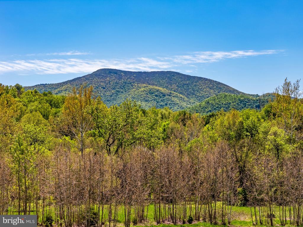 6315 IDA RD, STANLEY, Virginia 22851, 3 Bedrooms Bedrooms, ,2 BathroomsBathrooms,Residential,6315 IDA RD,VAPA2006374 MLS # VAPA2006374