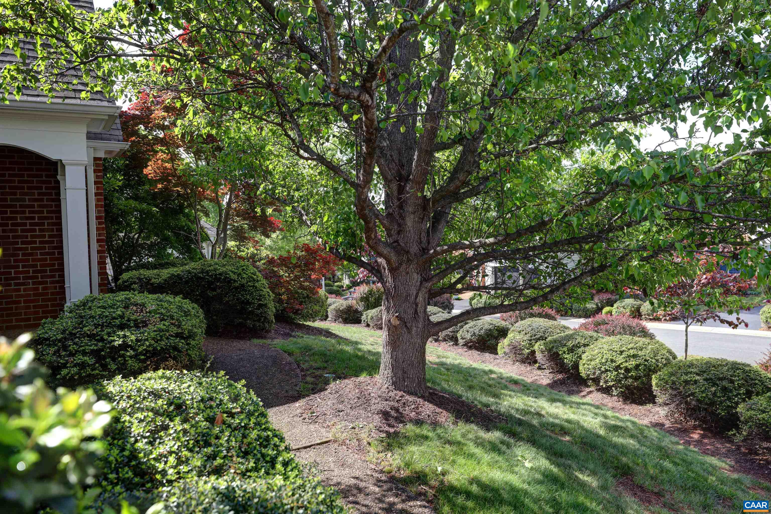 685 COURTYARD CT, CHARLOTTESVILLE, Virginia 22903, 3 Bedrooms Bedrooms, ,2 BathroomsBathrooms,Residential,685 COURTYARD CT,676693 MLS # 676693