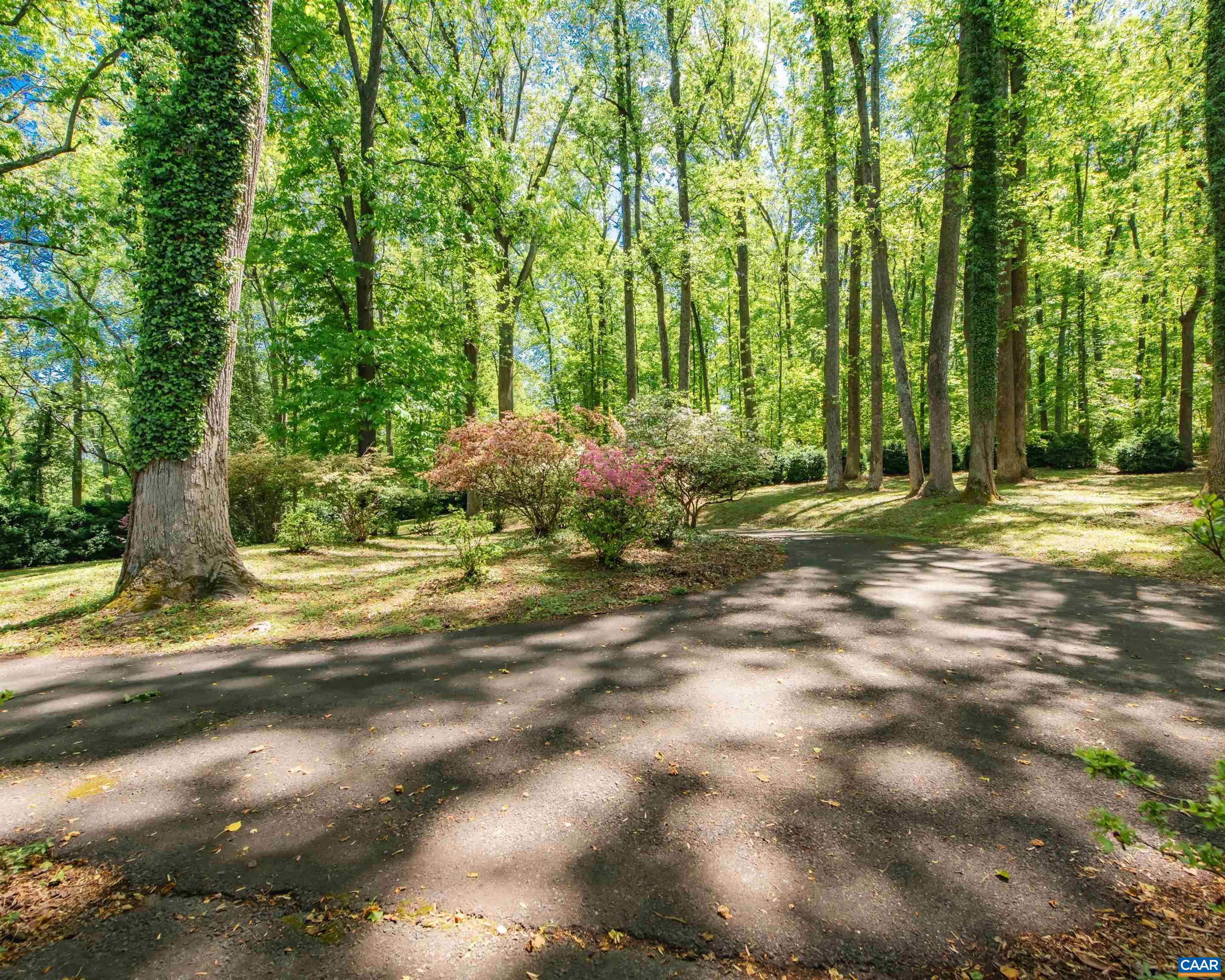 10070 BARNETTS FORD RD, ORANGE, Virginia 22960, 3 Bedrooms Bedrooms, ,3 BathroomsBathrooms,Residential,Red Hill,10070 BARNETTS FORD RD,676702 MLS # 676702