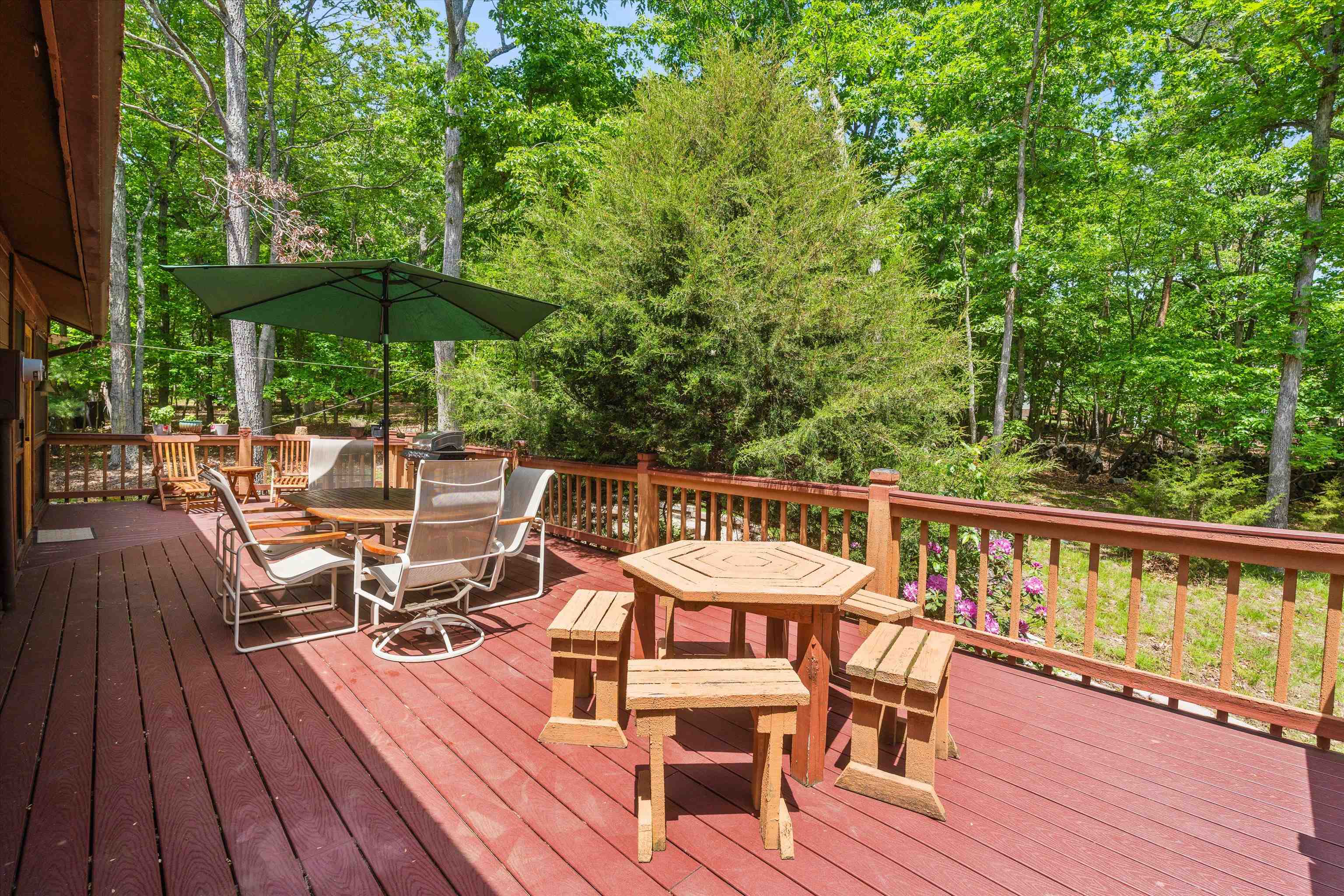 175 ELK LN, MCGAHEYSVILLE, Virginia 22840, 3 Bedrooms Bedrooms, ,3 BathroomsBathrooms,Residential,175 ELK LN,676712 MLS # 676712