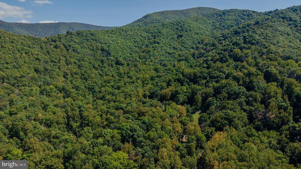 279 HELMS RD, STANLEY, Virginia 22851, 5 Bedrooms Bedrooms, ,2 BathroomsBathrooms,Residential,279 HELMS RD,VAPA2006372 MLS # VAPA2006372