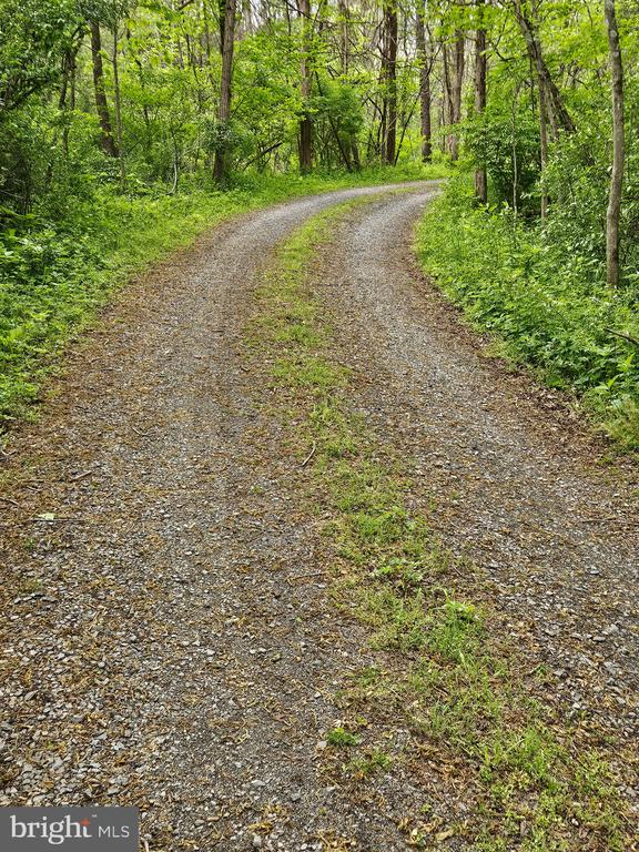 BEYLORS FERRY, RILEYVILLE, Virginia 22650, ,Land,BEYLORS FERRY,VAPA2006370 MLS # VAPA2006370