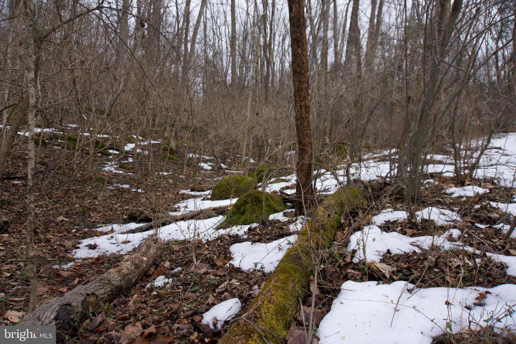 BEYLORS FERRY, RILEYVILLE, Virginia 22650, ,Land,BEYLORS FERRY,VAPA2006370 MLS # VAPA2006370