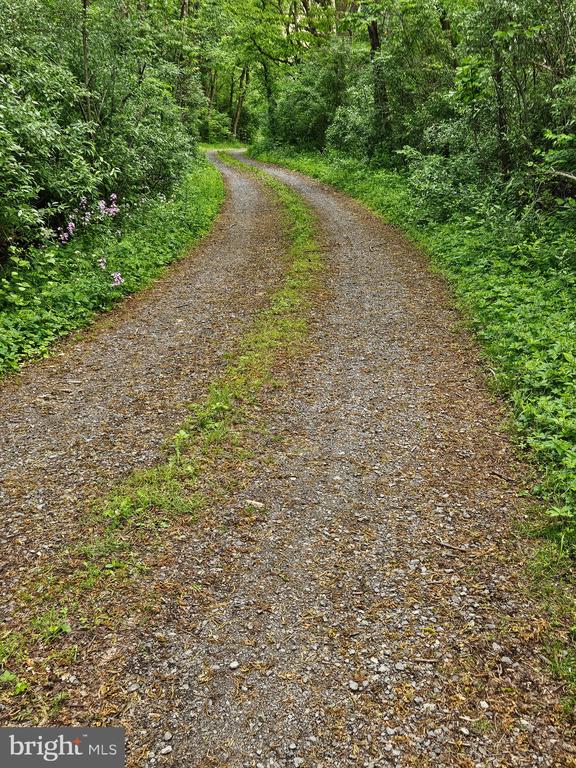 BEYLORS FERRY, RILEYVILLE, Virginia 22650, ,Land,BEYLORS FERRY,VAPA2006370 MLS # VAPA2006370