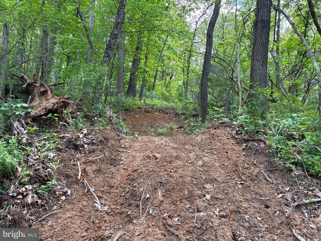 BEYLORS FERRY, RILEYVILLE, Virginia 22650, ,Land,BEYLORS FERRY,VAPA2006370 MLS # VAPA2006370