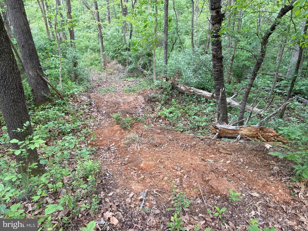 BEYLORS FERRY, RILEYVILLE, Virginia 22650, ,Land,BEYLORS FERRY,VAPA2006370 MLS # VAPA2006370