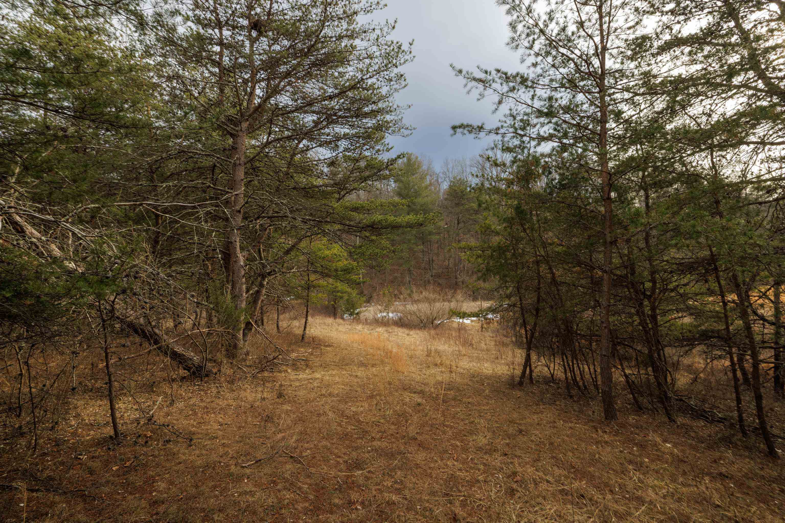 577 HAMMOND LN, STAUNTON, Virginia 24401, ,Land,577 HAMMOND LN,673745 MLS # 673745