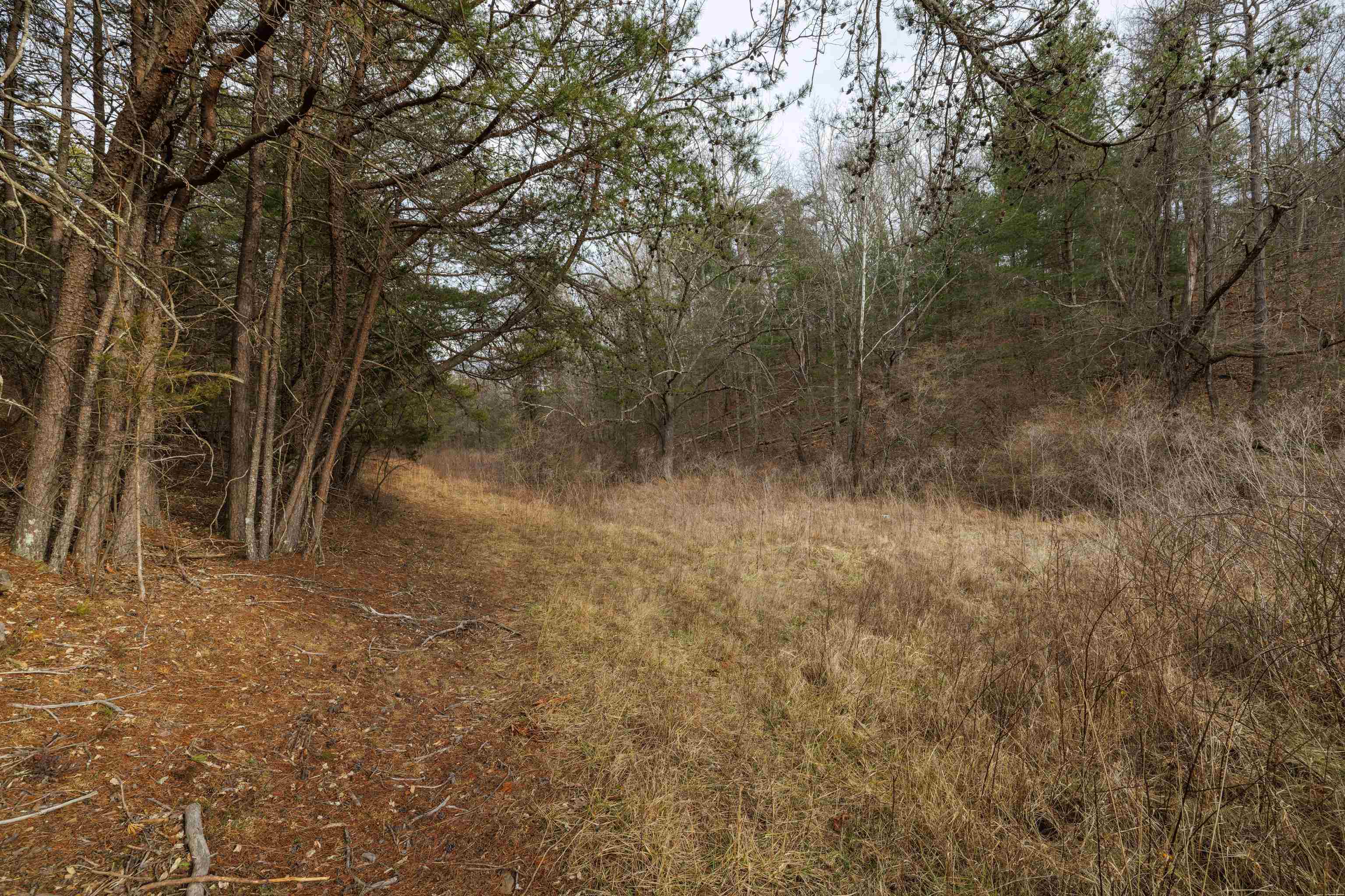 577 HAMMOND LN, STAUNTON, Virginia 24401, ,Land,577 HAMMOND LN,673745 MLS # 673745