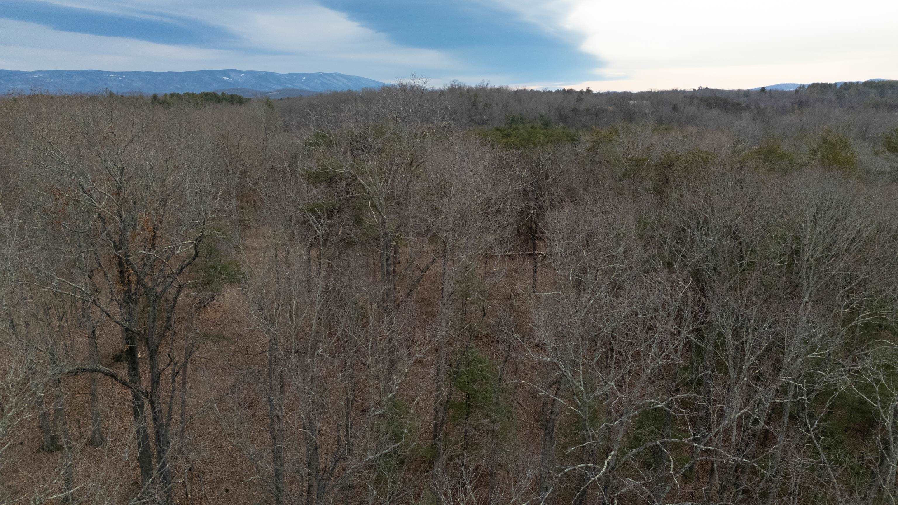 577 HAMMOND LN, STAUNTON, Virginia 24401, ,Land,577 HAMMOND LN,673745 MLS # 673745