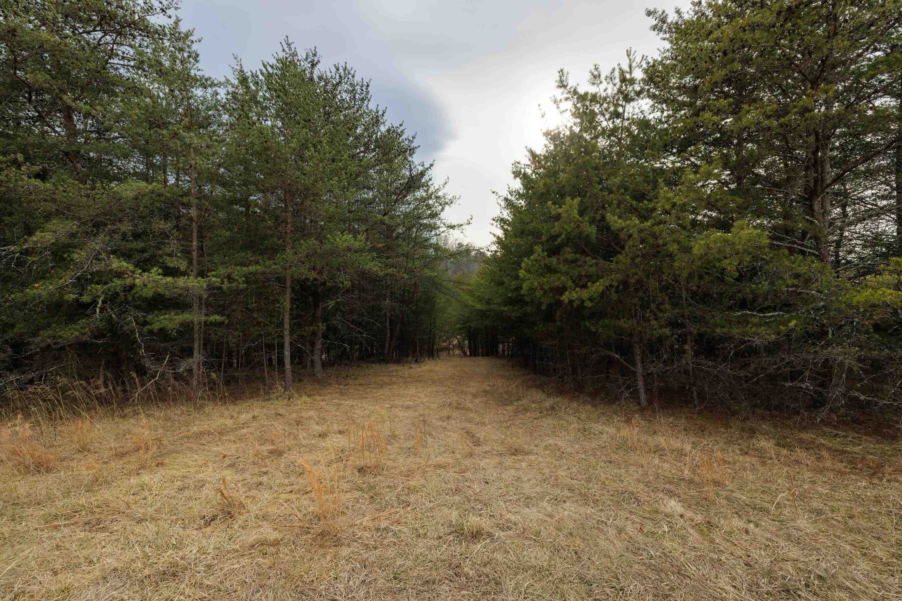 577 HAMMOND LN, STAUNTON, Virginia 24401, ,Land,577 HAMMOND LN,673745 MLS # 673745