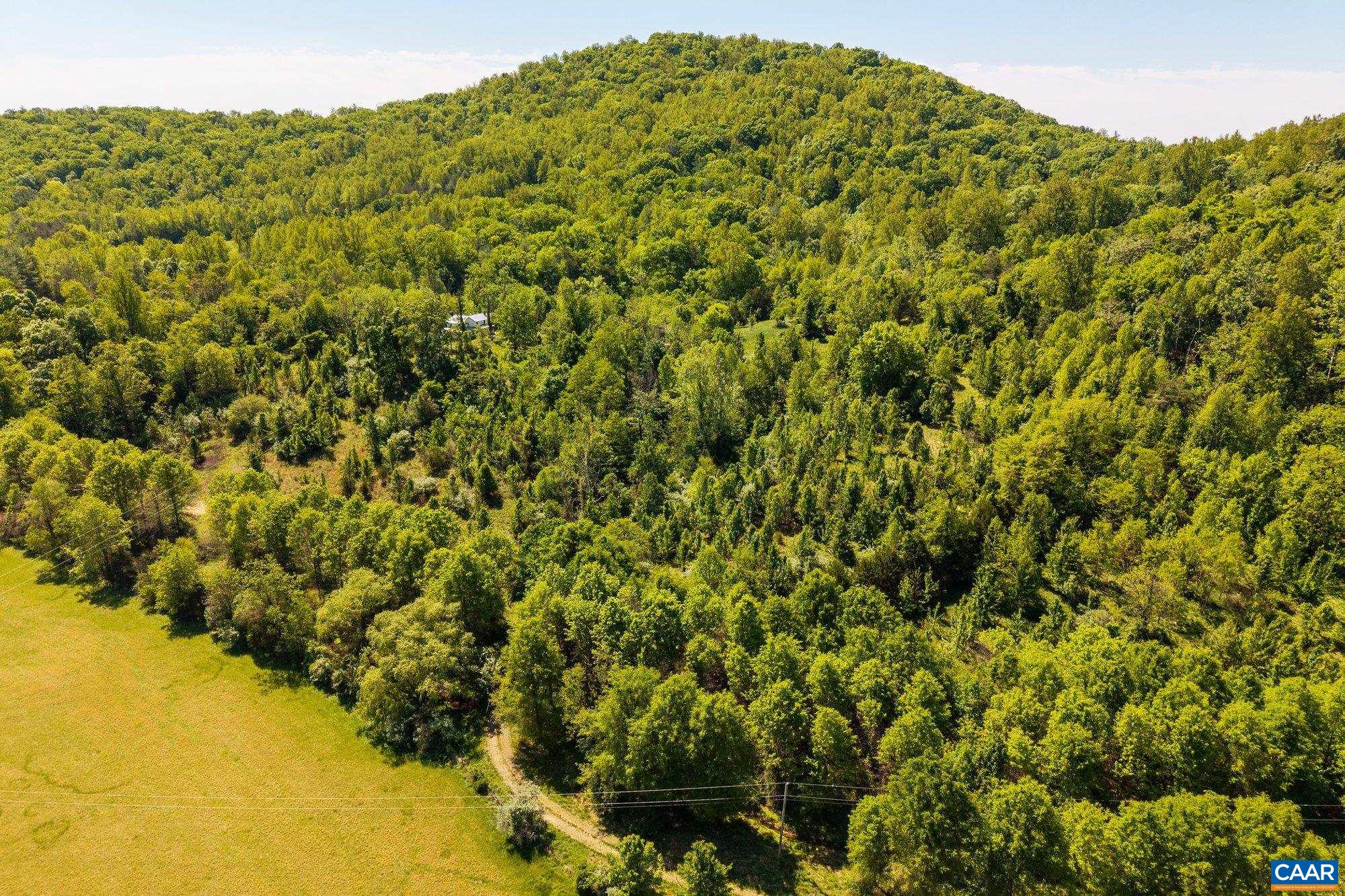 2255 BOONESVILLE RD, DYKE, Virginia 22935, ,Farm,Ashmont,2255 BOONESVILLE RD,676749 MLS # 676749