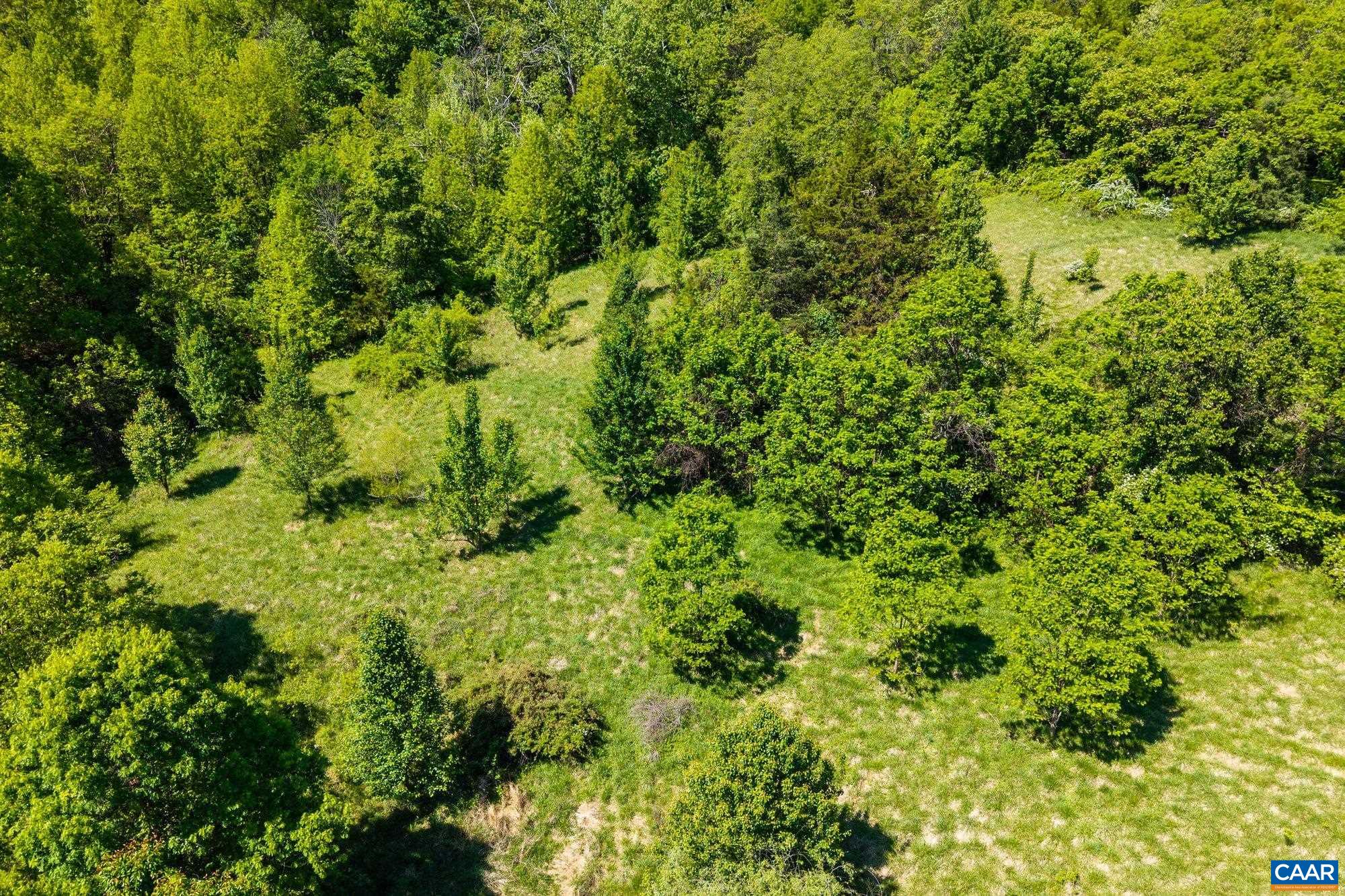 2255 BOONESVILLE RD, DYKE, Virginia 22935, ,Farm,Ashmont,2255 BOONESVILLE RD,676749 MLS # 676749