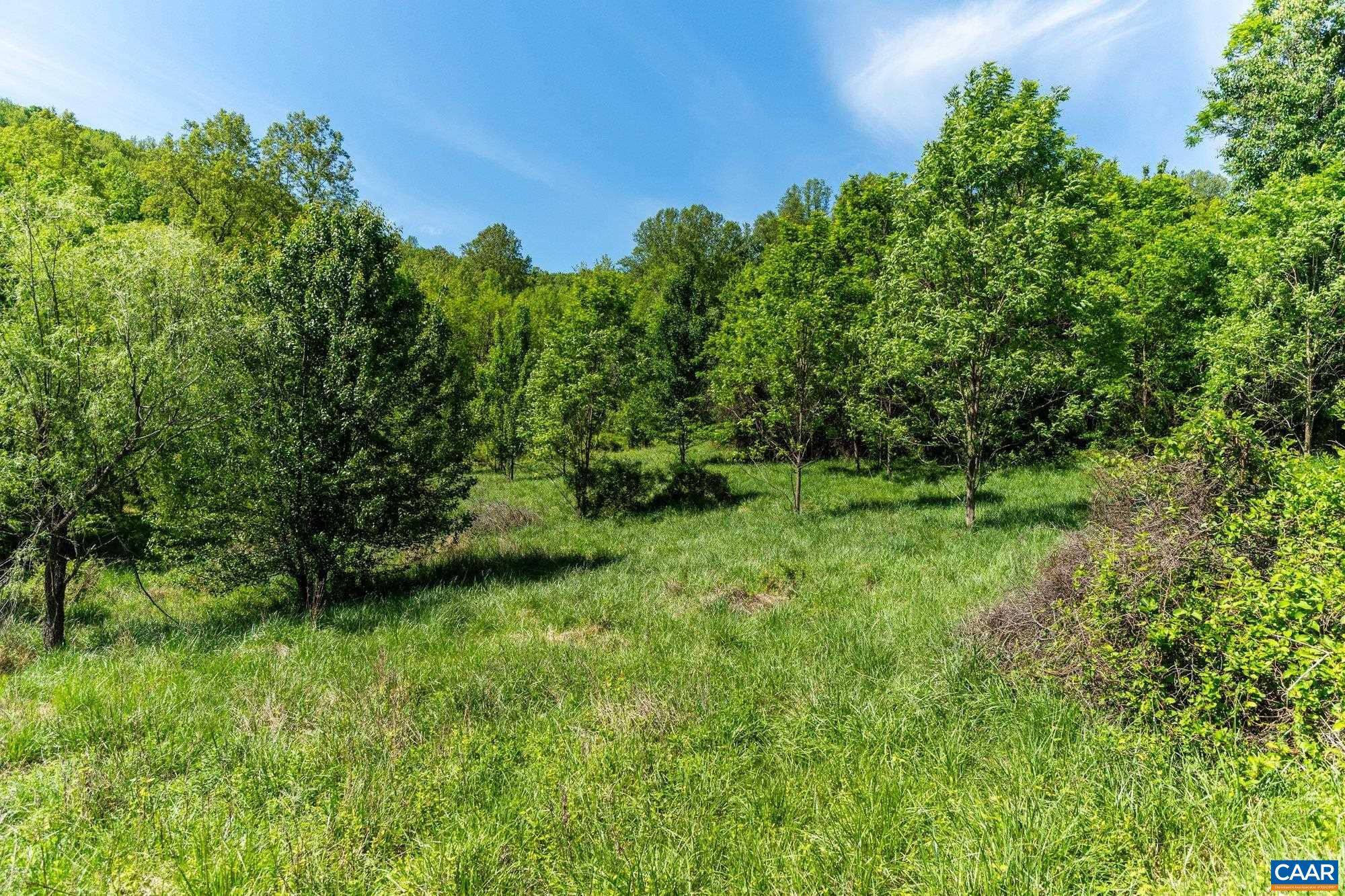2255 BOONESVILLE RD, DYKE, Virginia 22935, ,Farm,Ashmont,2255 BOONESVILLE RD,676749 MLS # 676749