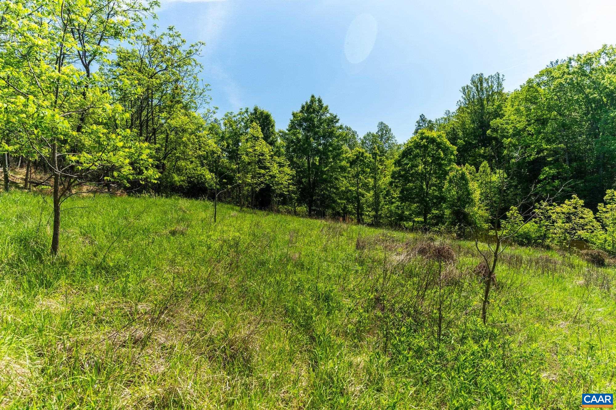 2255 BOONESVILLE RD, DYKE, Virginia 22935, ,Farm,Ashmont,2255 BOONESVILLE RD,676749 MLS # 676749