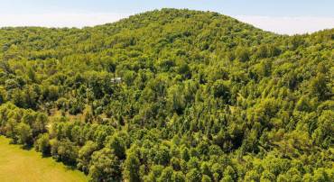 2255 BOONESVILLE RD, DYKE, Virginia 22935, ,Farm,Ashmont,2255 BOONESVILLE RD,676749 MLS # 676749