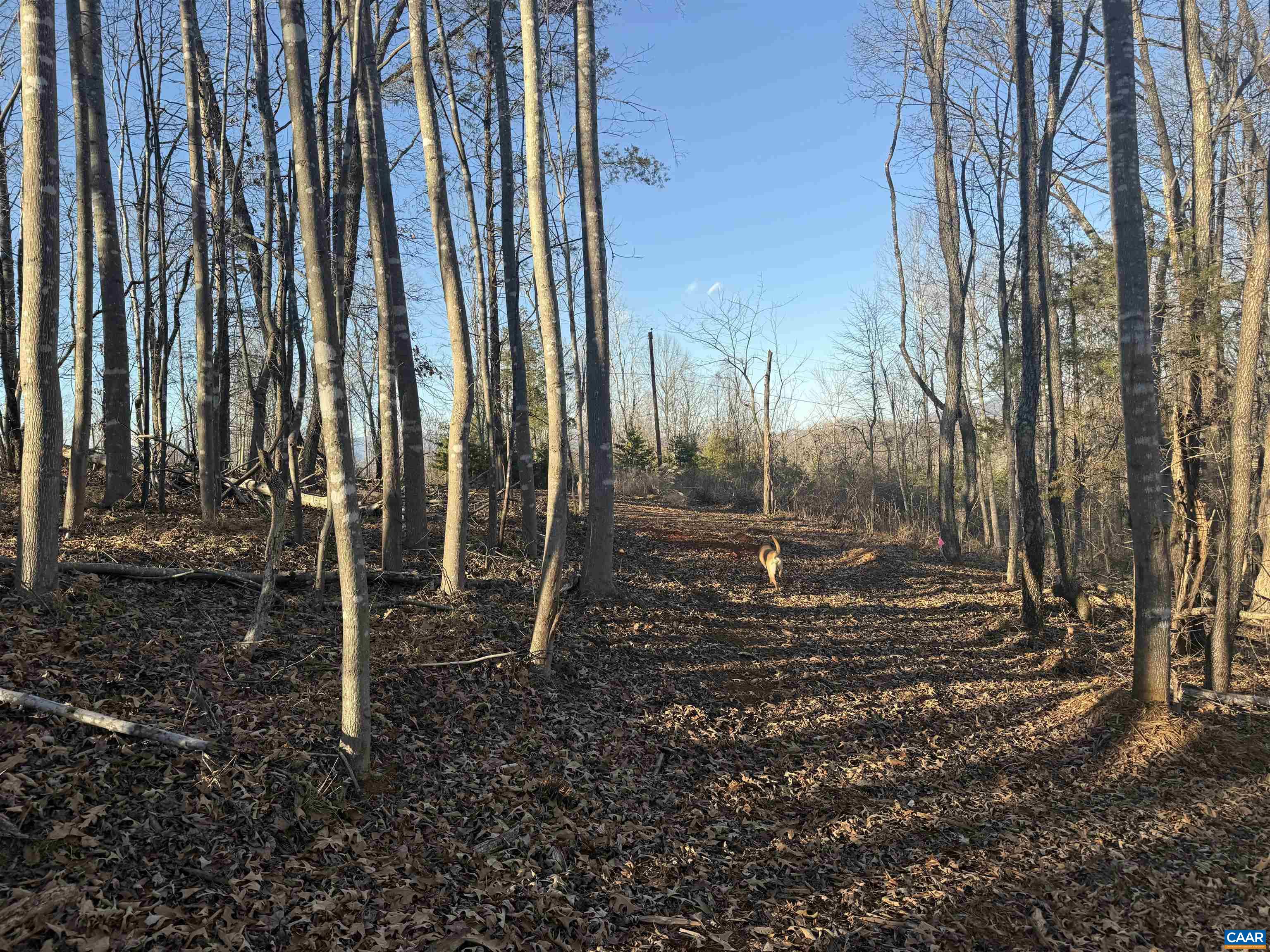 0 WINGFIELD DR, GOODE, Virginia 24556, ,Land,0 WINGFIELD DR,676756 MLS # 676756
