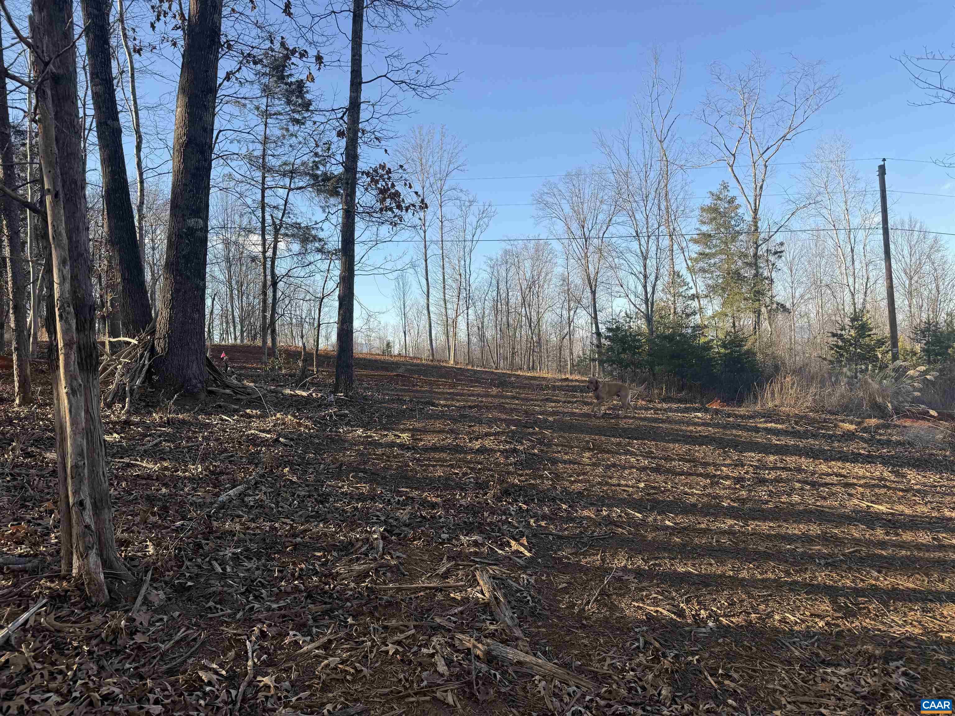 0 WINGFIELD DR, GOODE, Virginia 24556, ,Land,0 WINGFIELD DR,676756 MLS # 676756