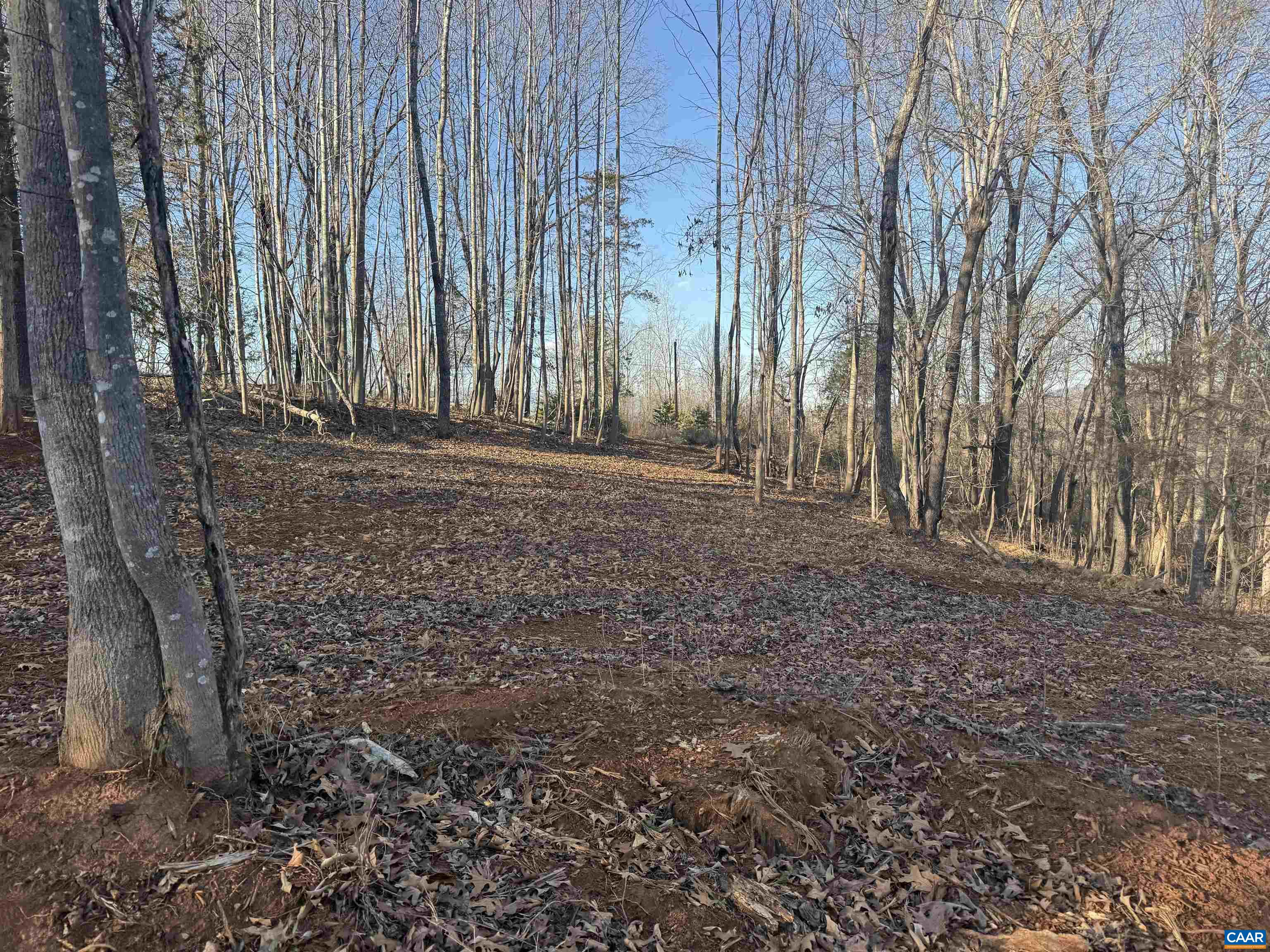 0 WINGFIELD DR, GOODE, Virginia 24556, ,Land,0 WINGFIELD DR,676756 MLS # 676756