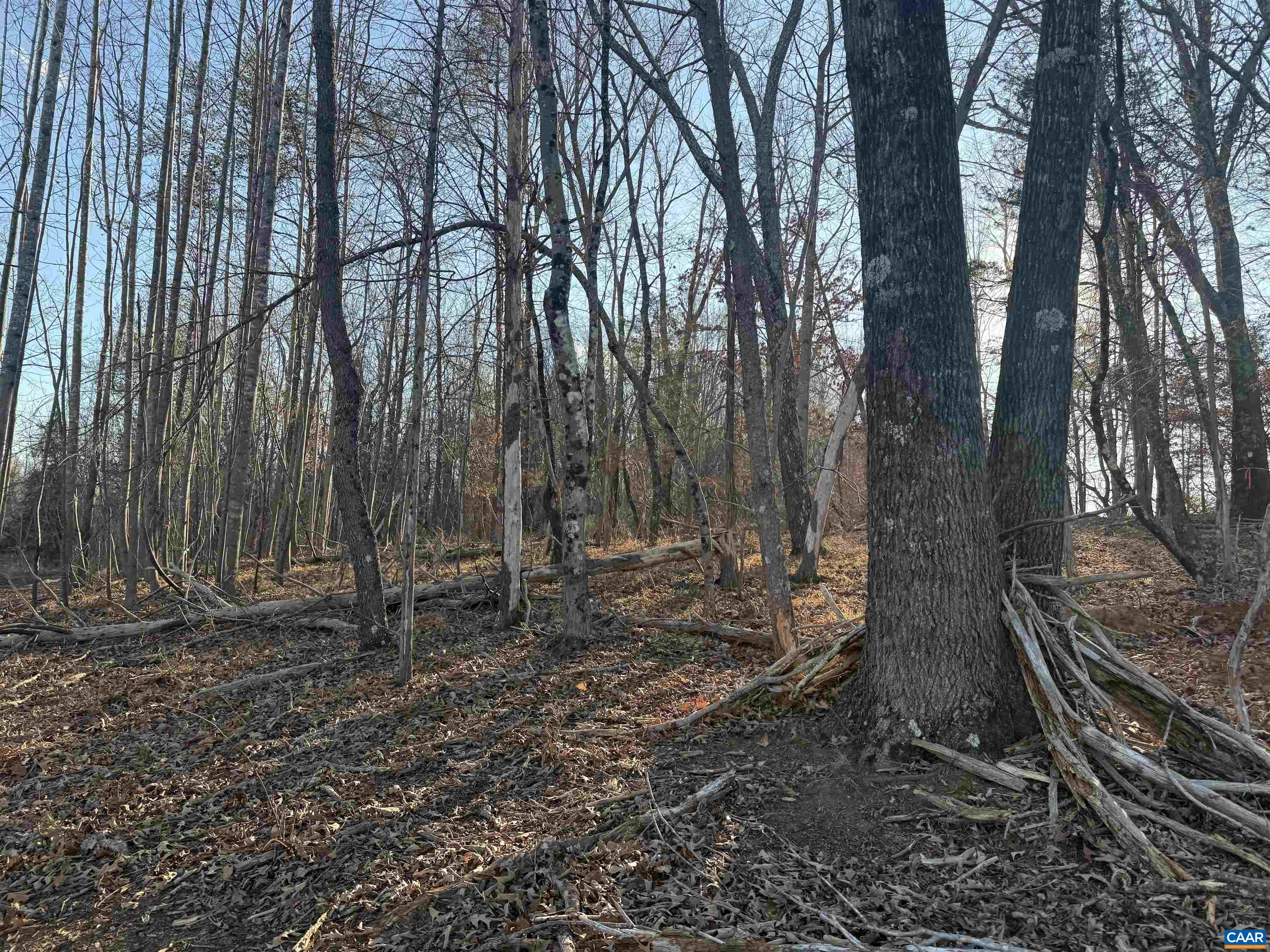 0 WINGFIELD DR, GOODE, Virginia 24556, ,Land,0 WINGFIELD DR,676756 MLS # 676756