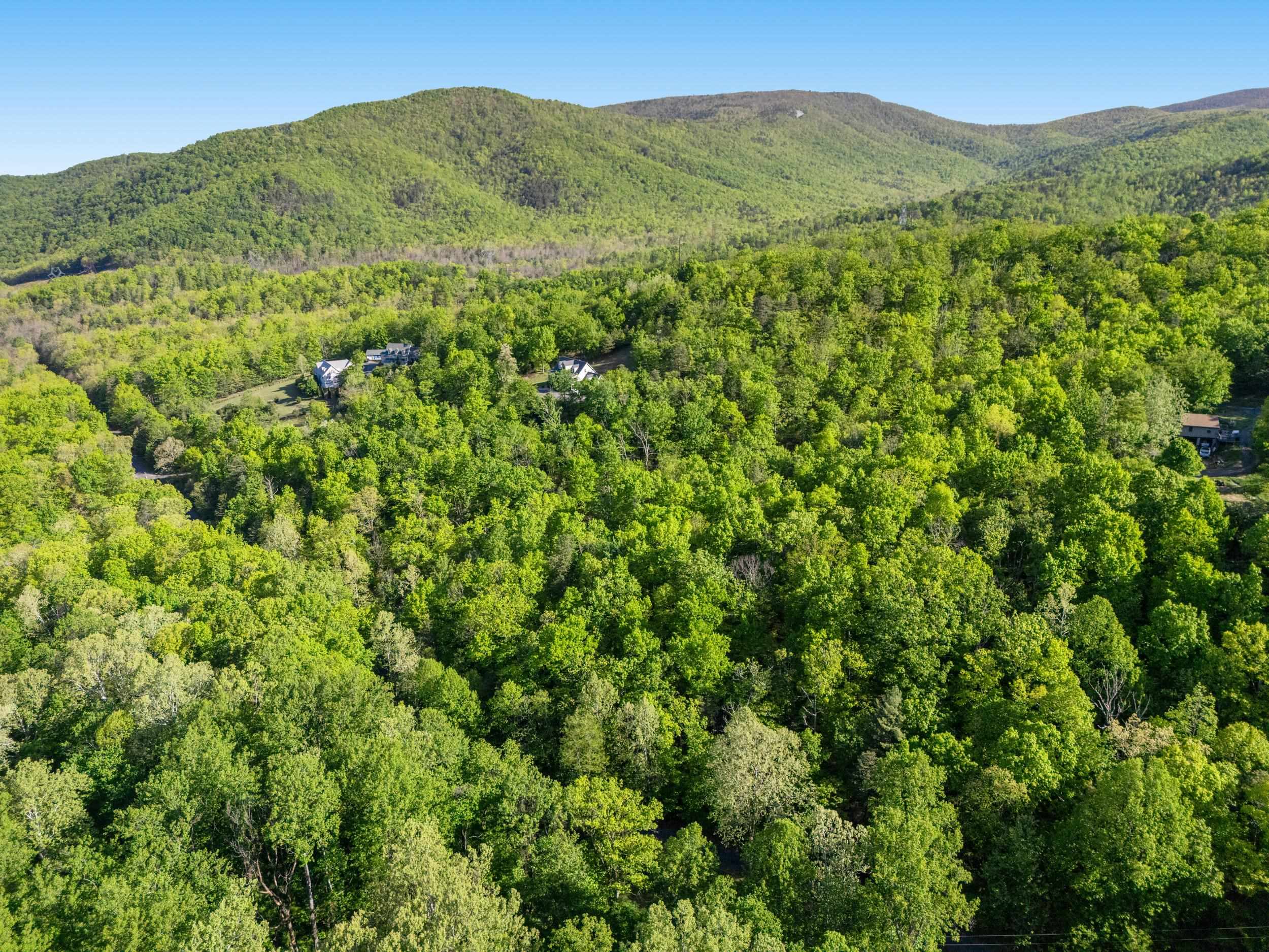 196 RIP RAP RD, WAYNESBORO, Virginia 22980, ,Land,196 RIP RAP RD,676767 MLS # 676767