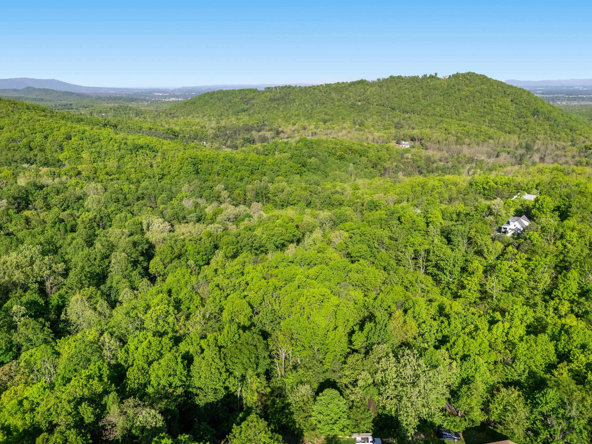 196 RIP RAP RD, WAYNESBORO, Virginia 22980, ,Land,196 RIP RAP RD,676767 MLS # 676767