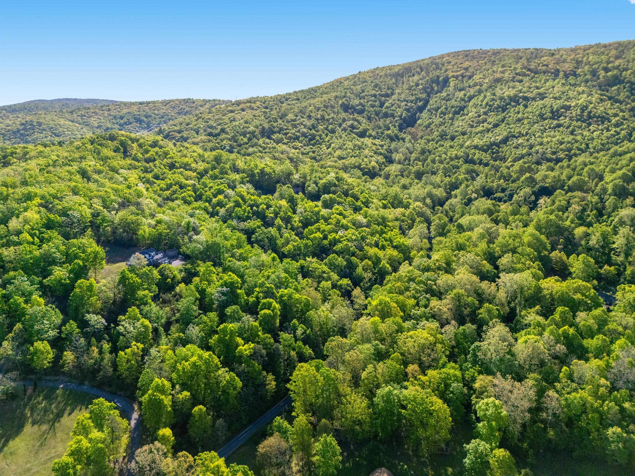 196 RIP RAP RD, WAYNESBORO, Virginia 22980, ,Land,196 RIP RAP RD,676767 MLS # 676767