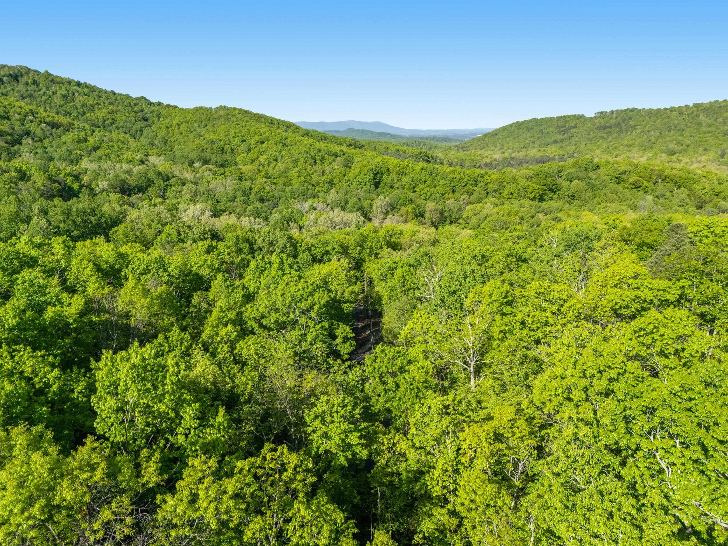 196 RIP RAP RD, WAYNESBORO, Virginia 22980, ,Land,196 RIP RAP RD,676767 MLS # 676767