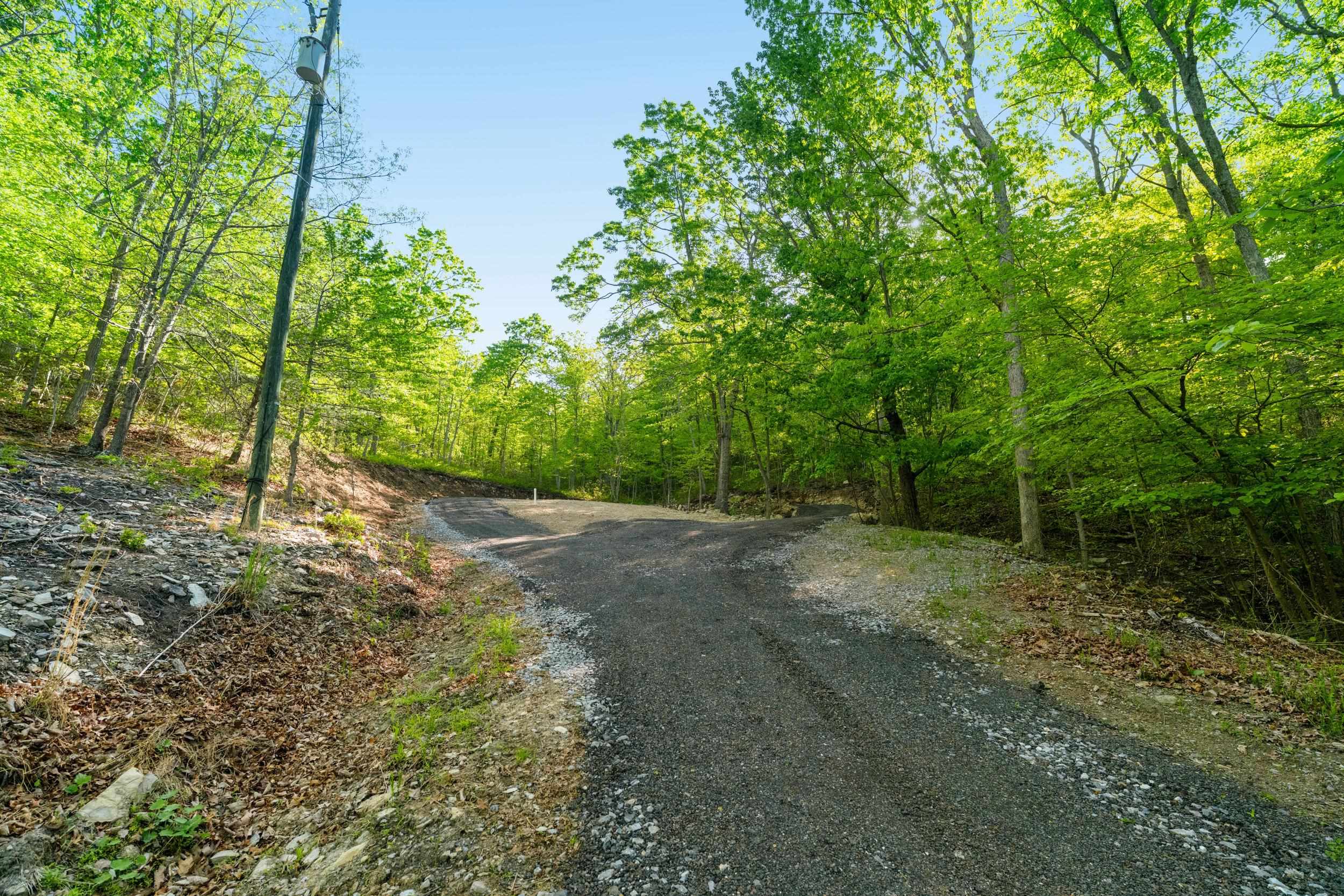 196 RIP RAP RD, WAYNESBORO, Virginia 22980, ,Land,196 RIP RAP RD,676767 MLS # 676767