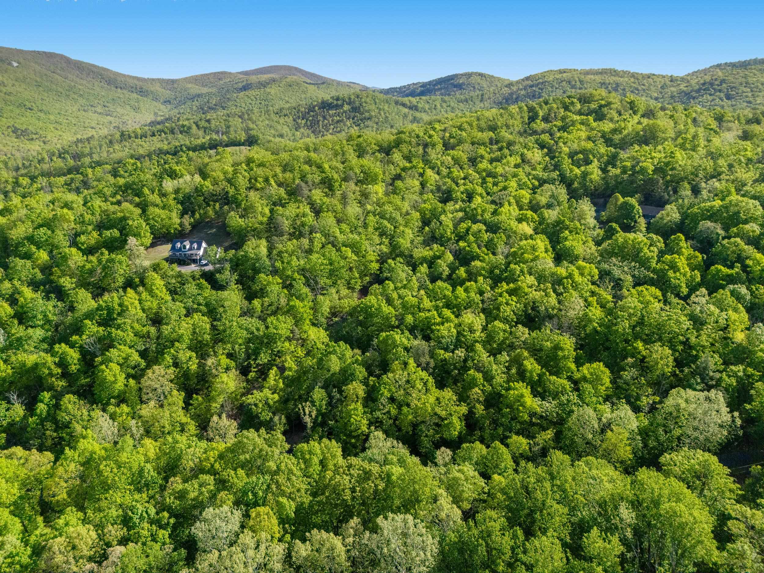 196 RIP RAP RD, WAYNESBORO, Virginia 22980, ,Land,196 RIP RAP RD,676767 MLS # 676767