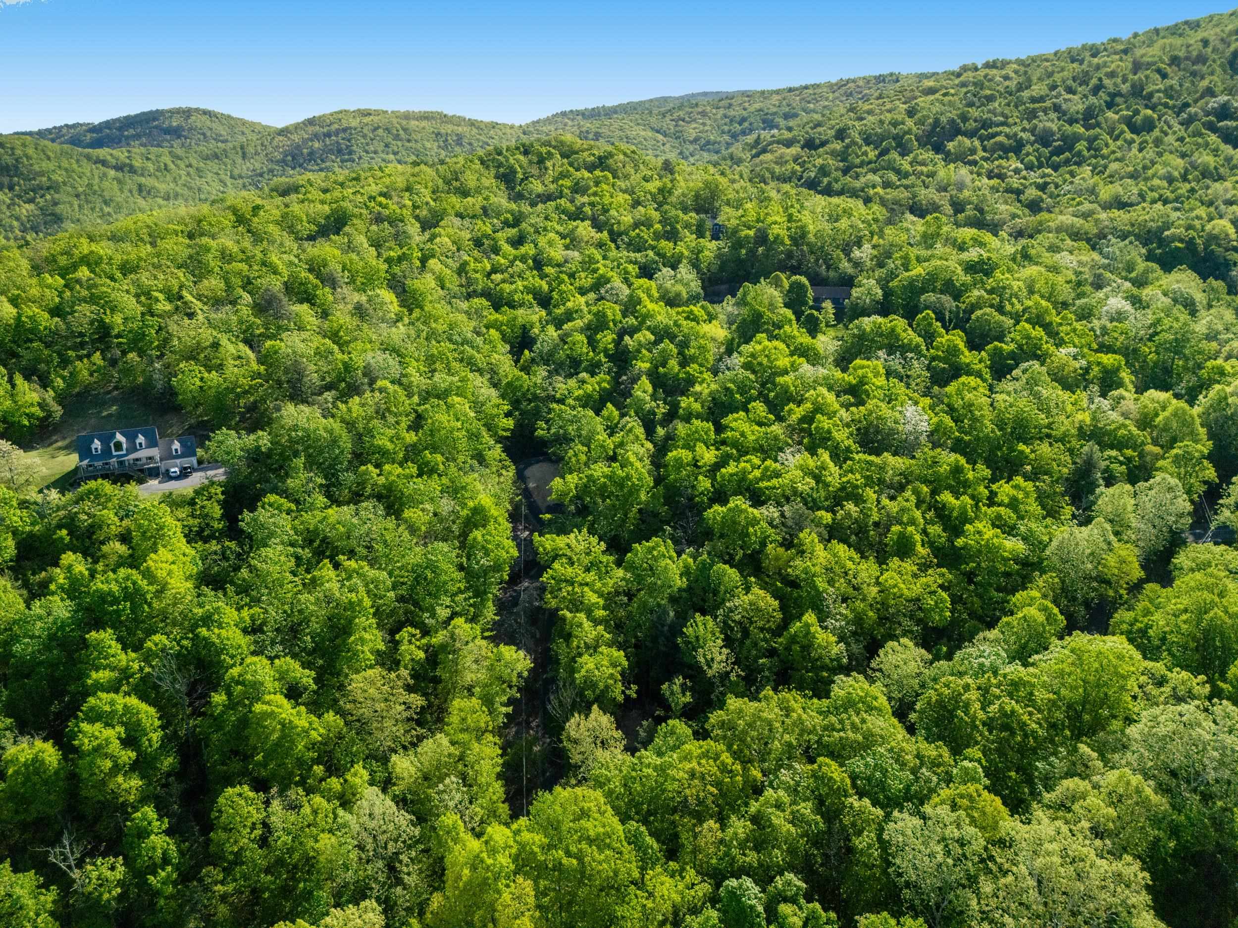 196 RIP RAP RD, WAYNESBORO, Virginia 22980, ,Land,196 RIP RAP RD,676767 MLS # 676767