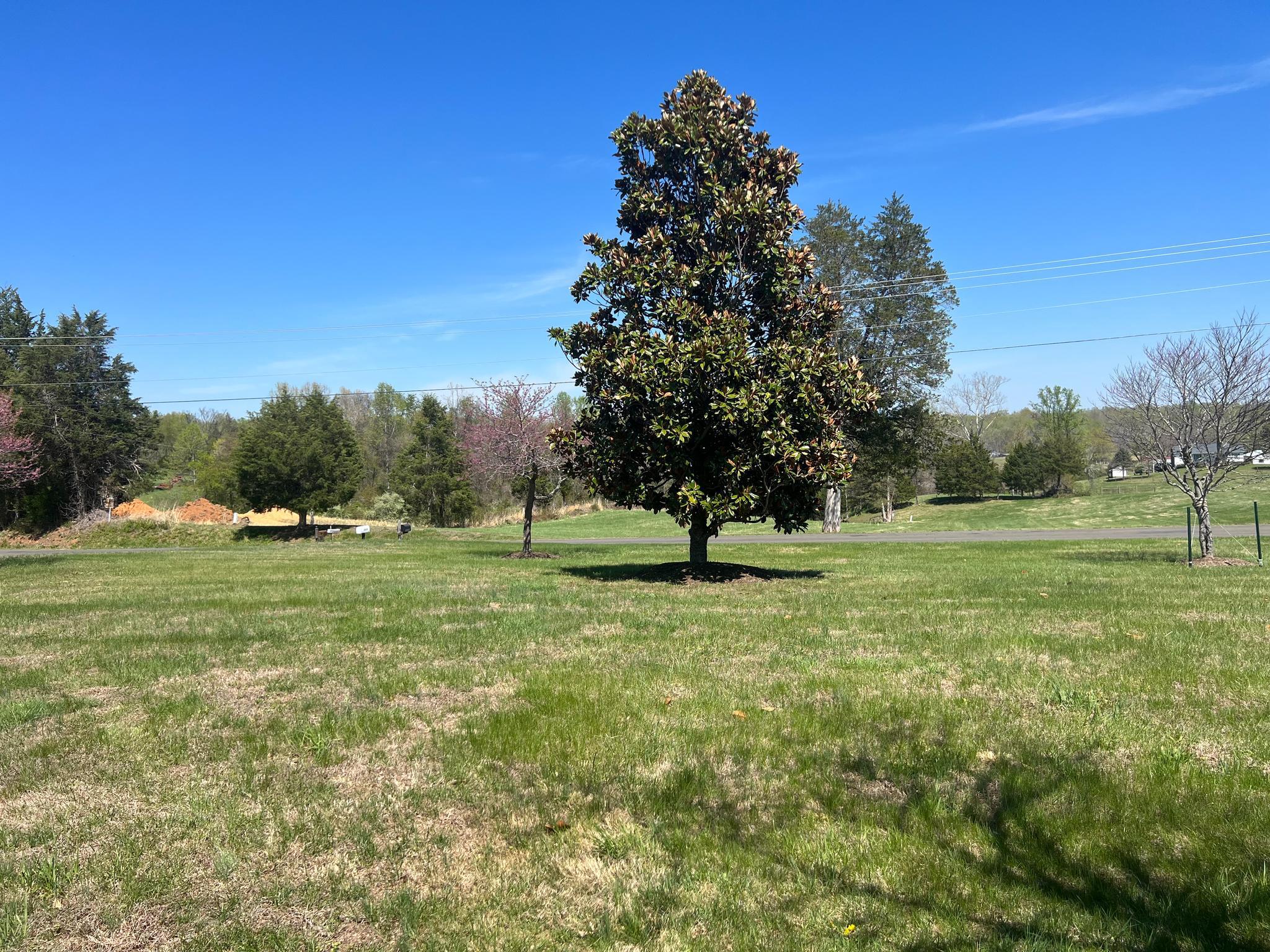 5265 BEAR HOLLOW LN, AMISSVILLE, Virginia 20106, 4 Bedrooms Bedrooms, ,2 BathroomsBathrooms,Residential,5265 BEAR HOLLOW LN,VACU2013270 MLS # VACU2013270
