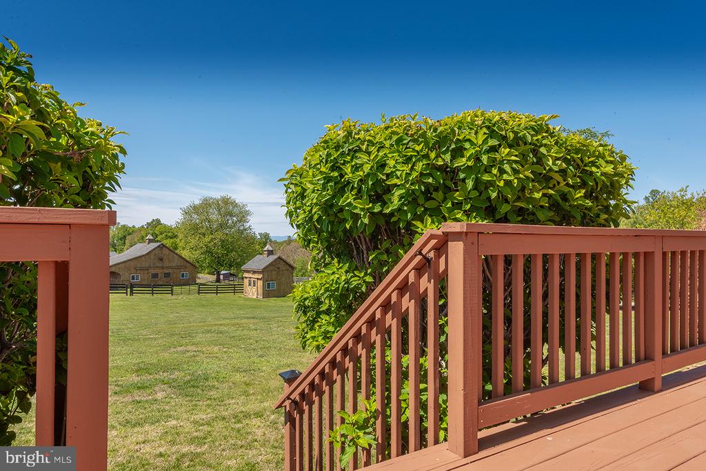 5265 BEAR HOLLOW LN, AMISSVILLE, Virginia 20106, 4 Bedrooms Bedrooms, ,2 BathroomsBathrooms,Residential,5265 BEAR HOLLOW LN,VACU2013270 MLS # VACU2013270