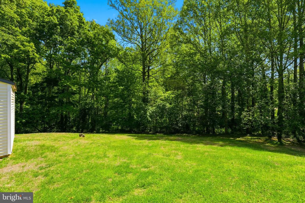 11057 EGGBORNSVILLE RD, RIXEYVILLE, Virginia 22737, 4 Bedrooms Bedrooms, ,3 BathroomsBathrooms,Residential,11057 EGGBORNSVILLE RD,VACU2013536 MLS # VACU2013536