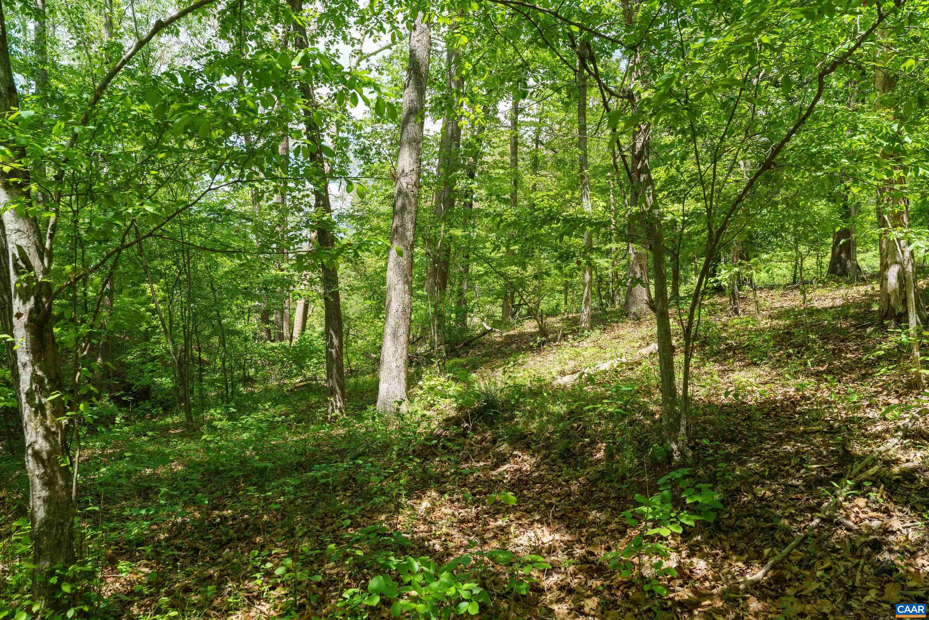 418 JAMES RIVER RD, SCOTTSVILLE, Virginia 24590, 4 Bedrooms Bedrooms, ,2 BathroomsBathrooms,Residential,418 JAMES RIVER RD,676747 MLS # 676747